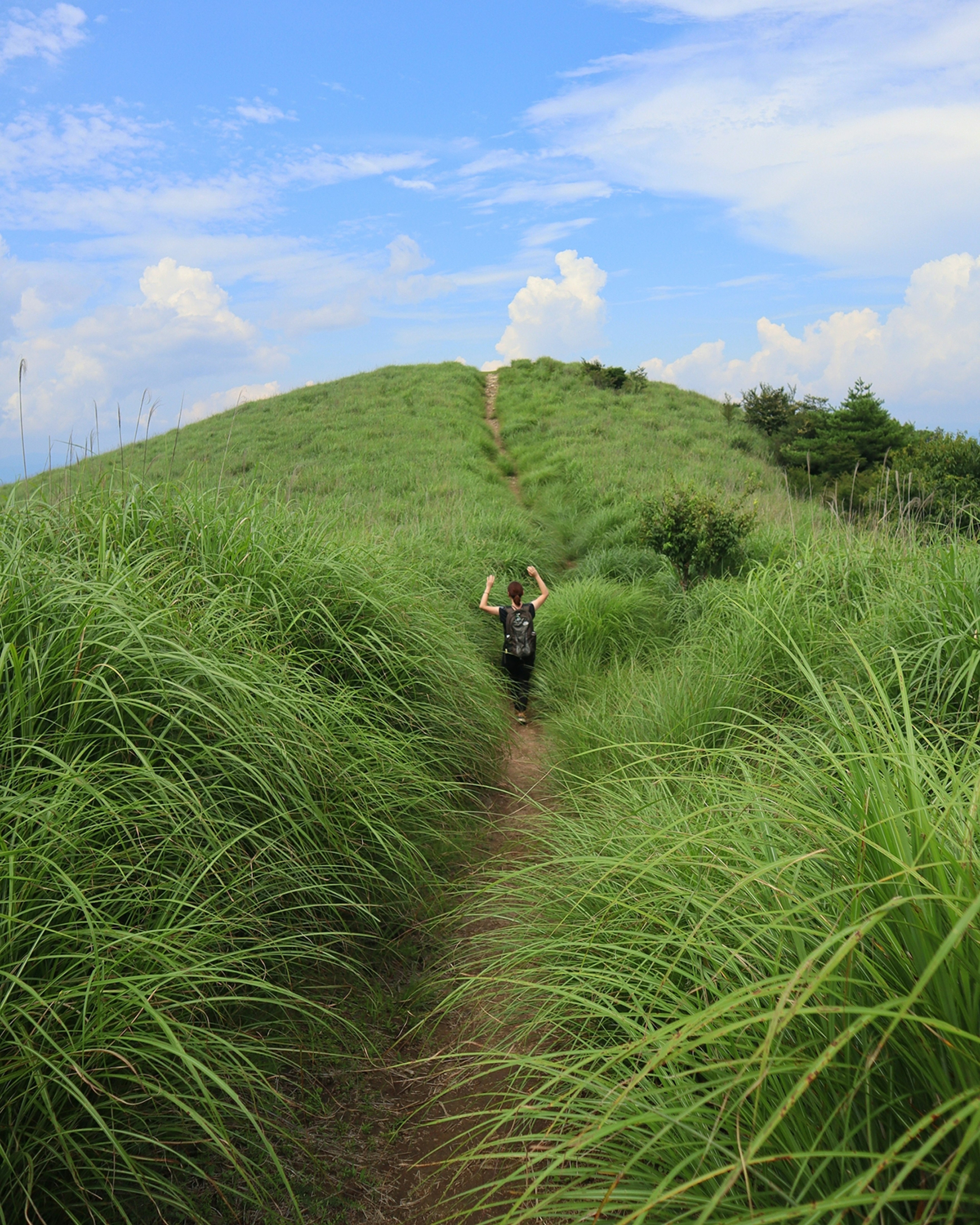 Una persona caminando por un camino en un paisaje verde lleno de hierba