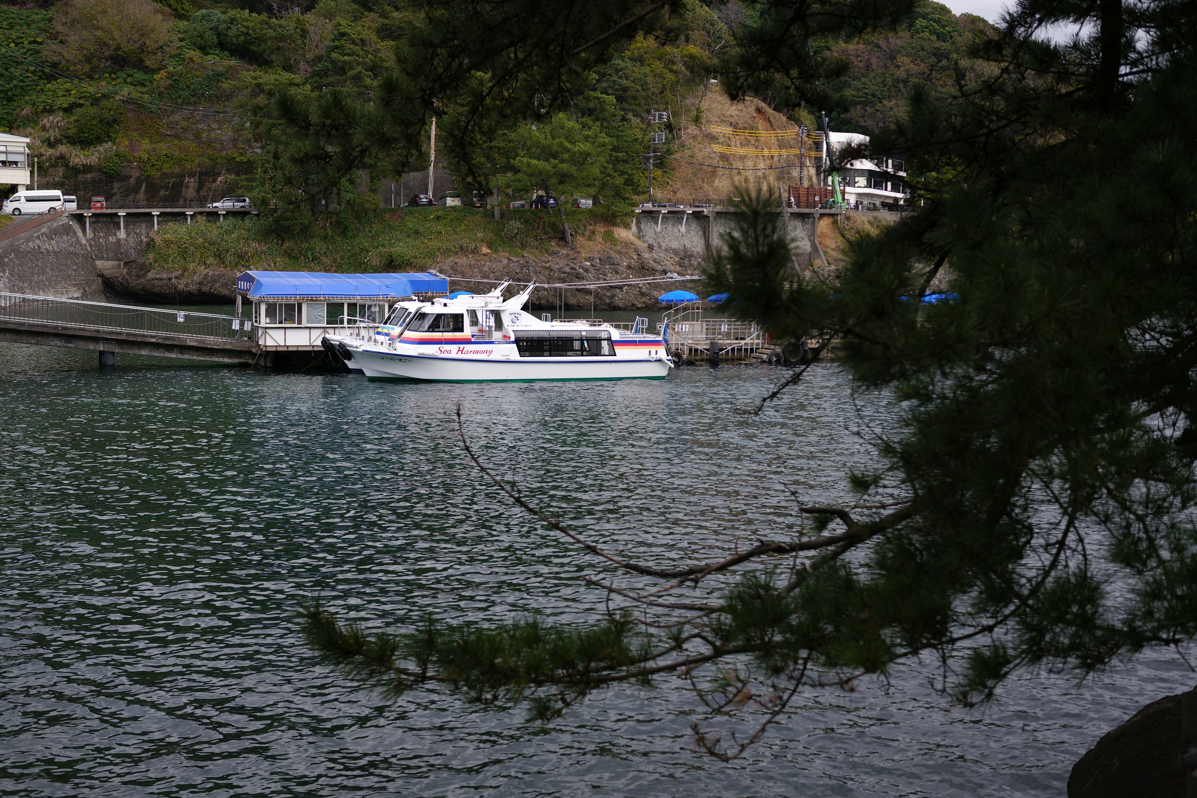 静かな湾に停泊する白いボートと緑豊かな背景