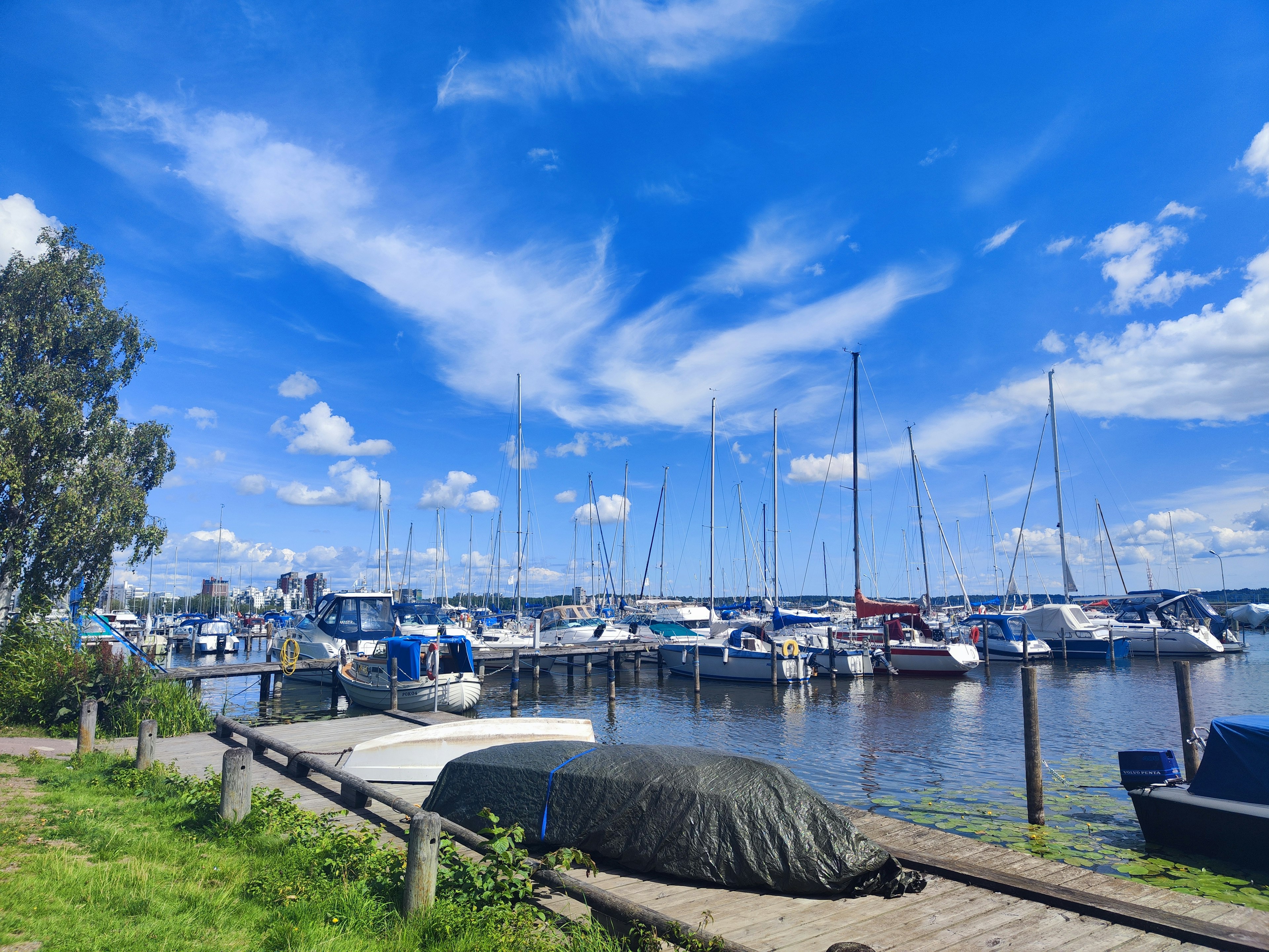 Harbor scene with yachts and boats under a blue sky