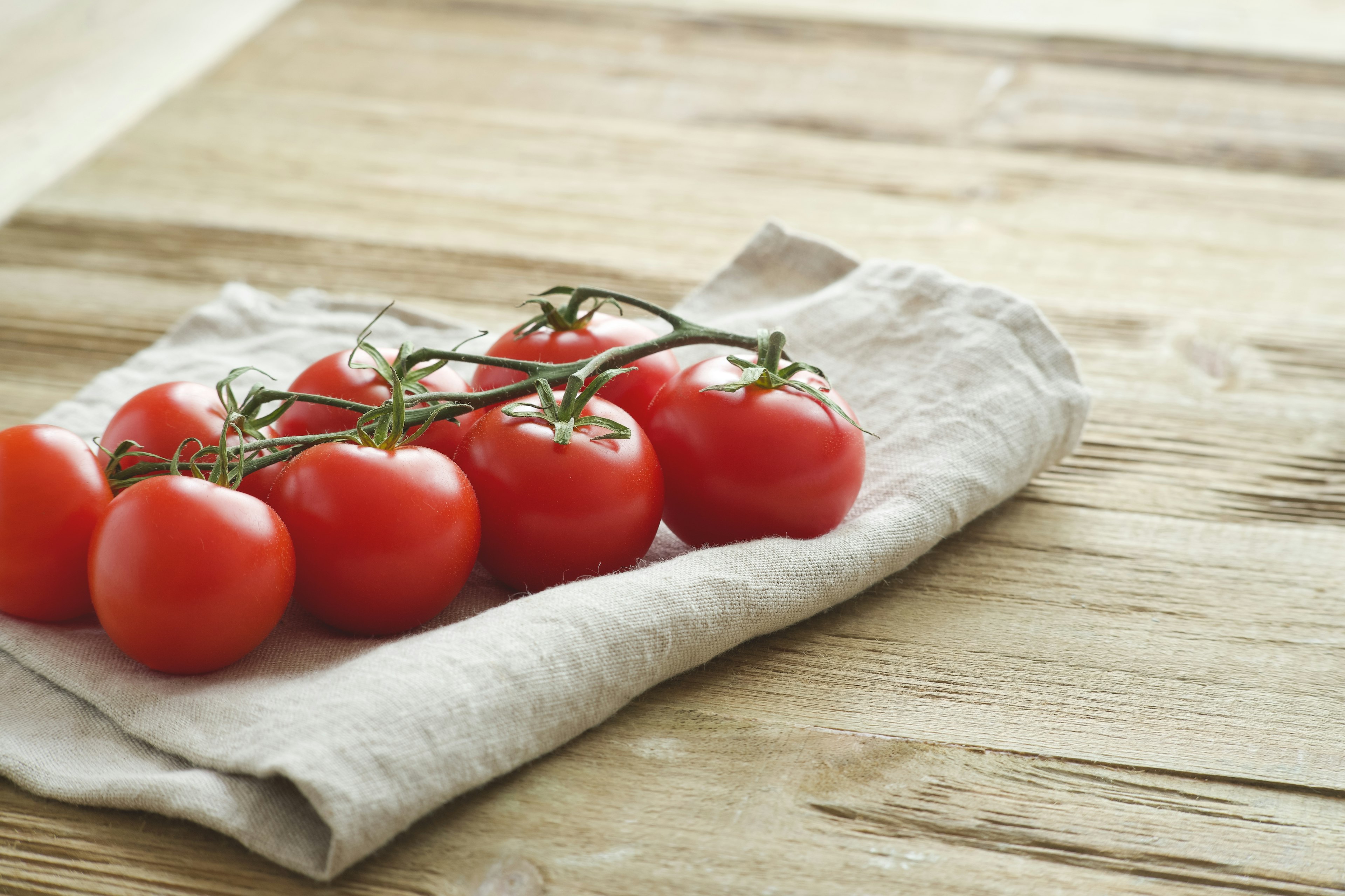 Frische Tomaten auf einem Tuch arrangiert