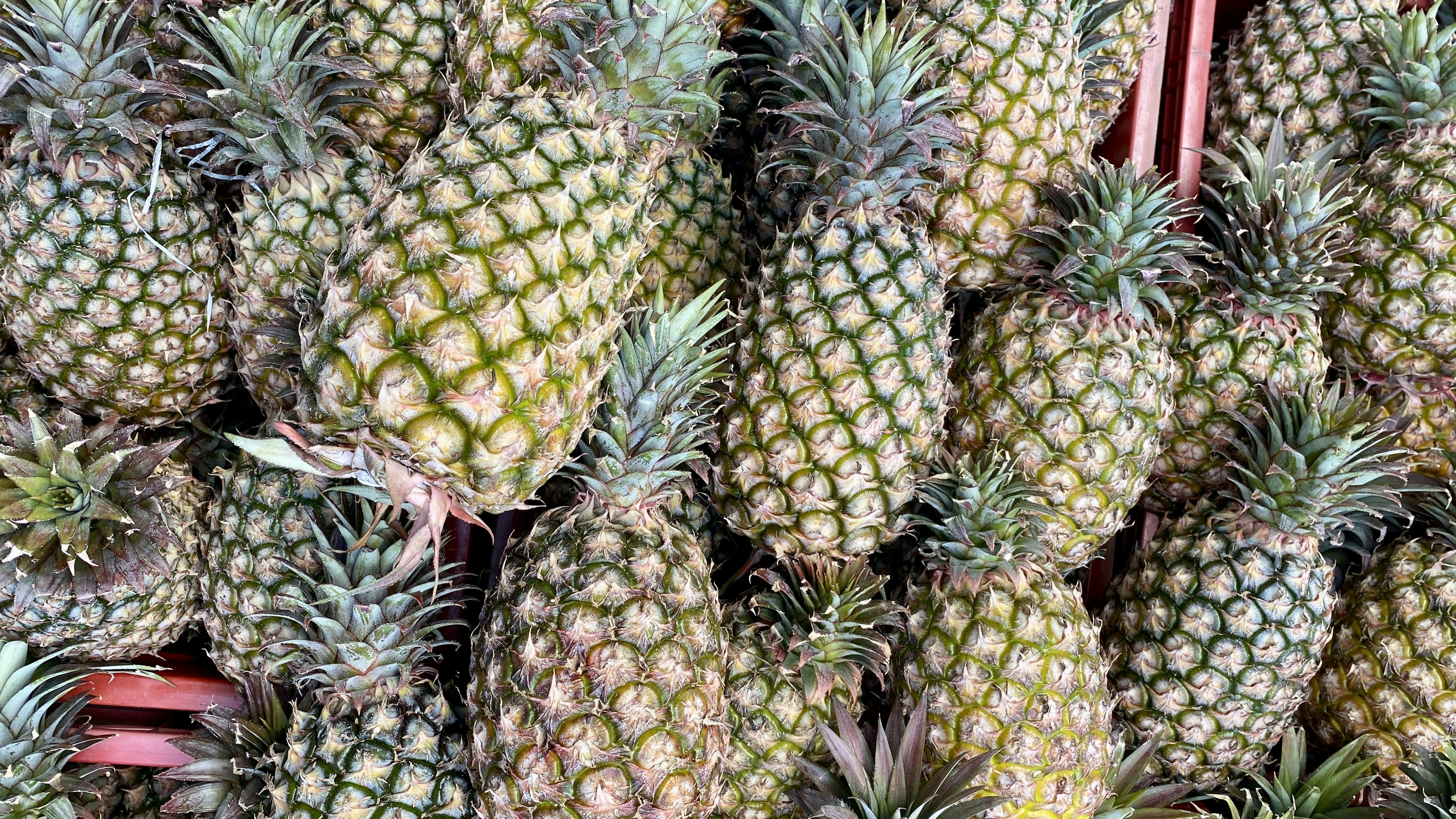 Eine Ansammlung von Ananas, die übereinander gestapelt sind