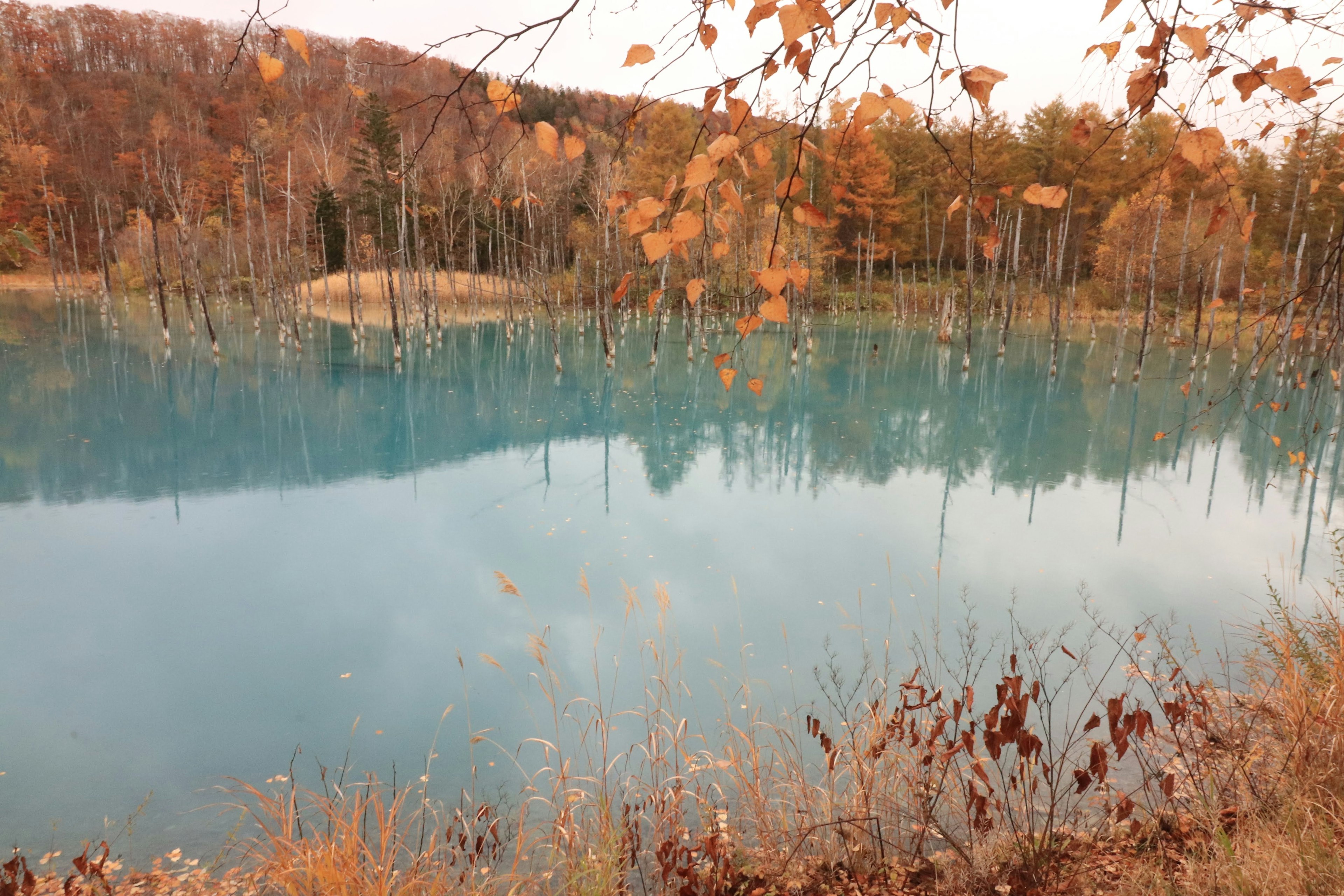 Danau biru tenang yang memantulkan daun musim gugur