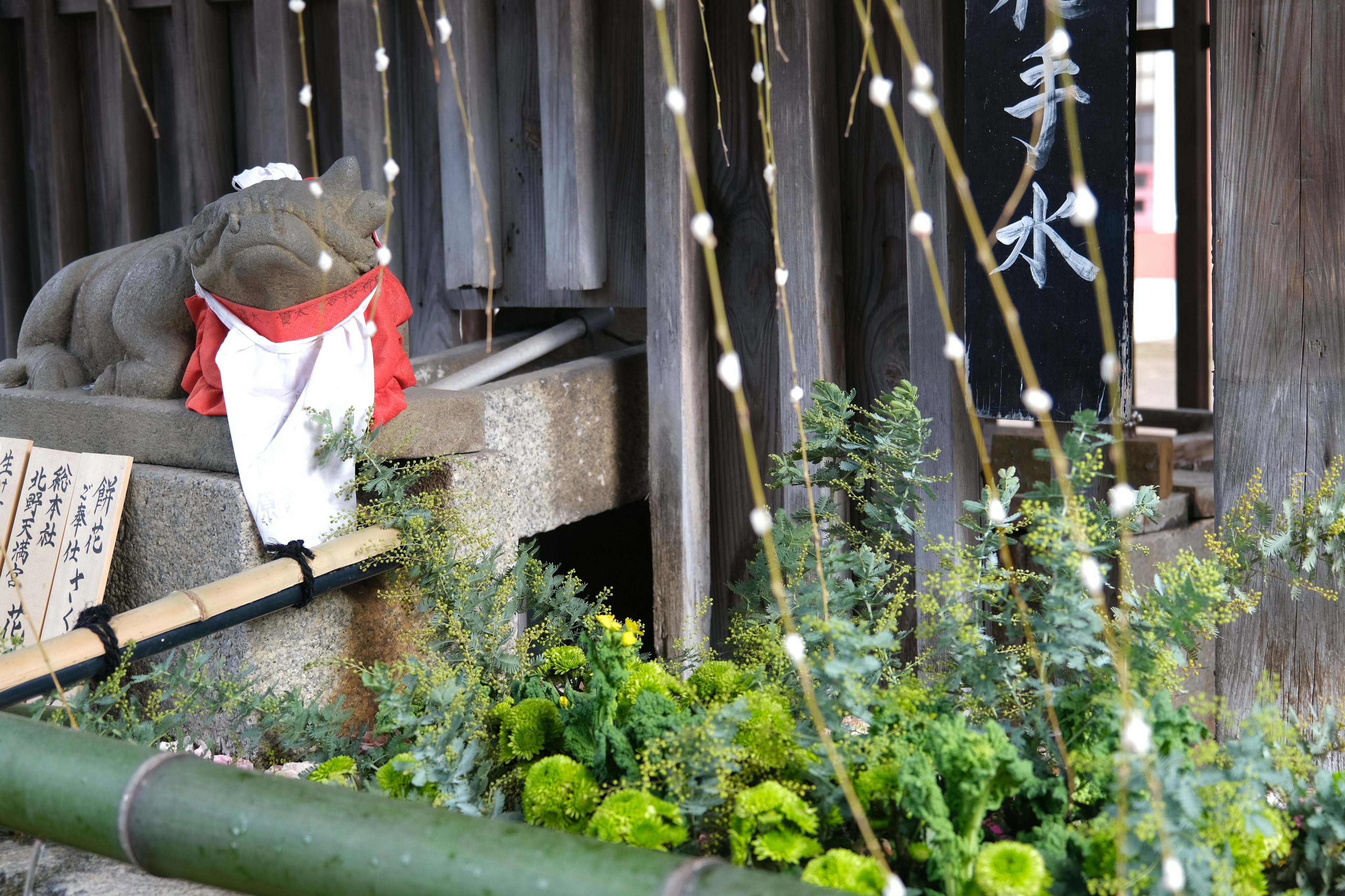 赤い布を着たカエルの置物と緑の植物がある風景