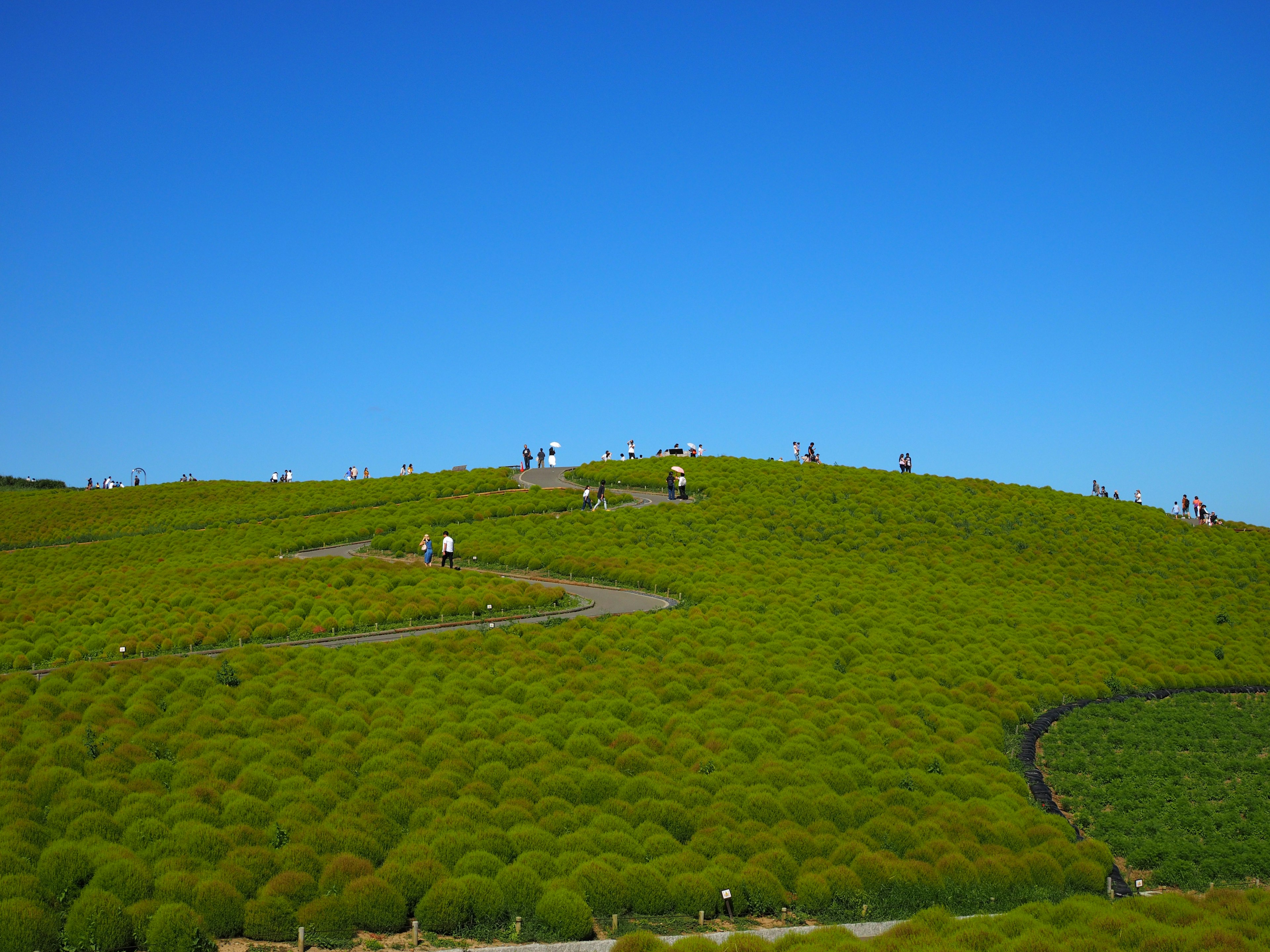 蓝天之下的绿色山丘美景，山坡上有行走的人们