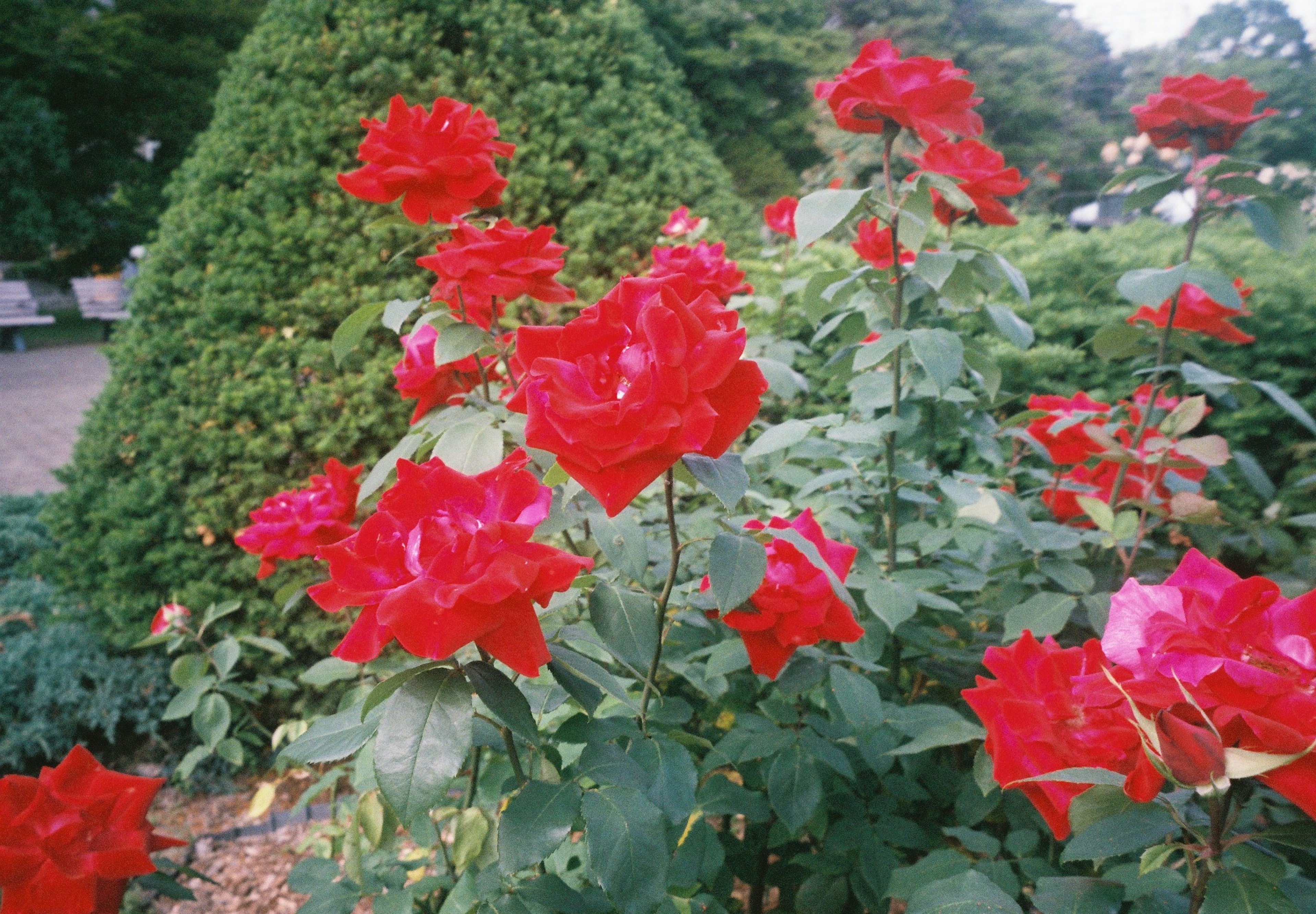photo-9bbSHcGdcIWVN1uckV9M-image