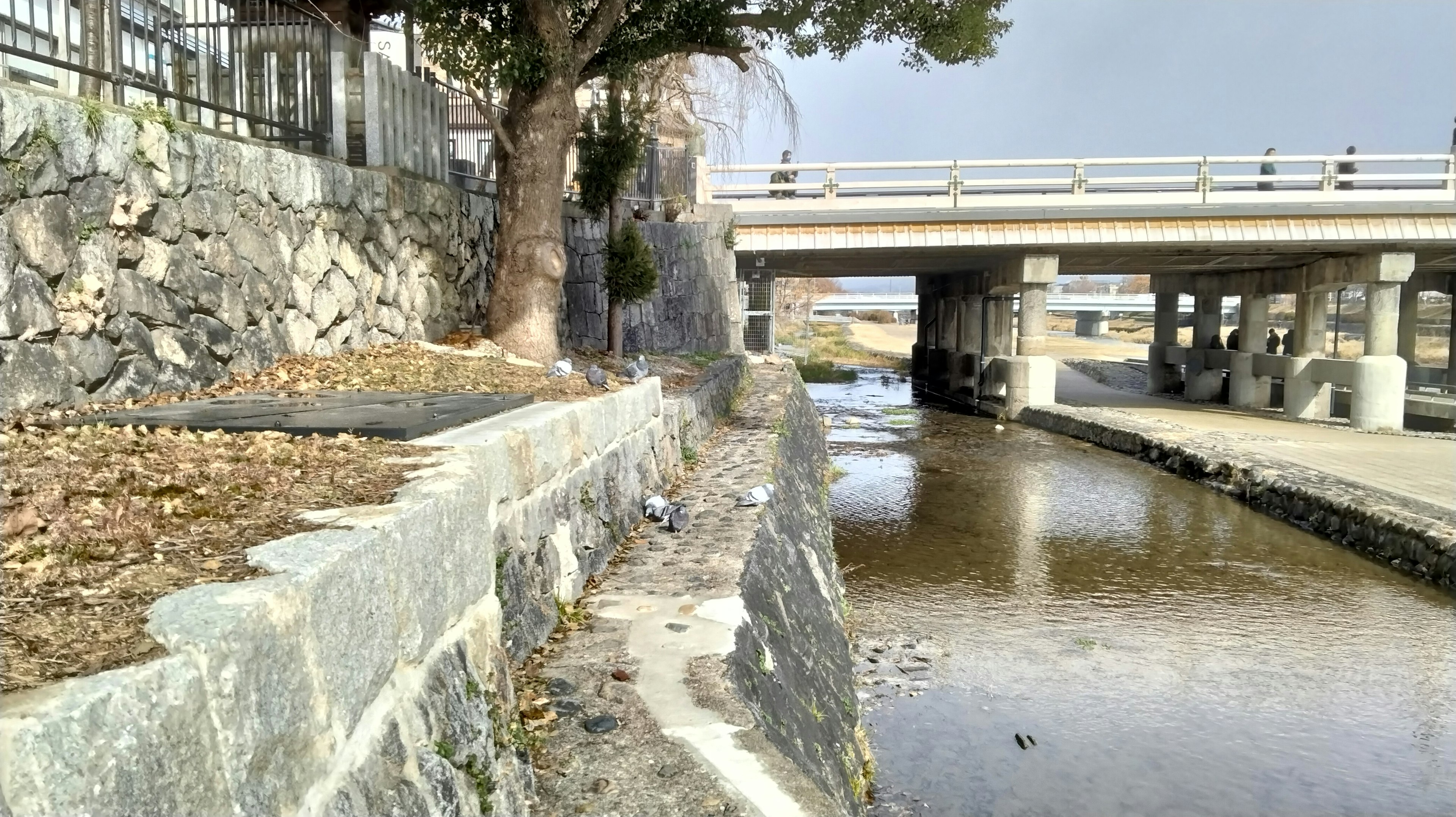 Steinböschung neben einem Bach mit einem Baum Brücke darüber