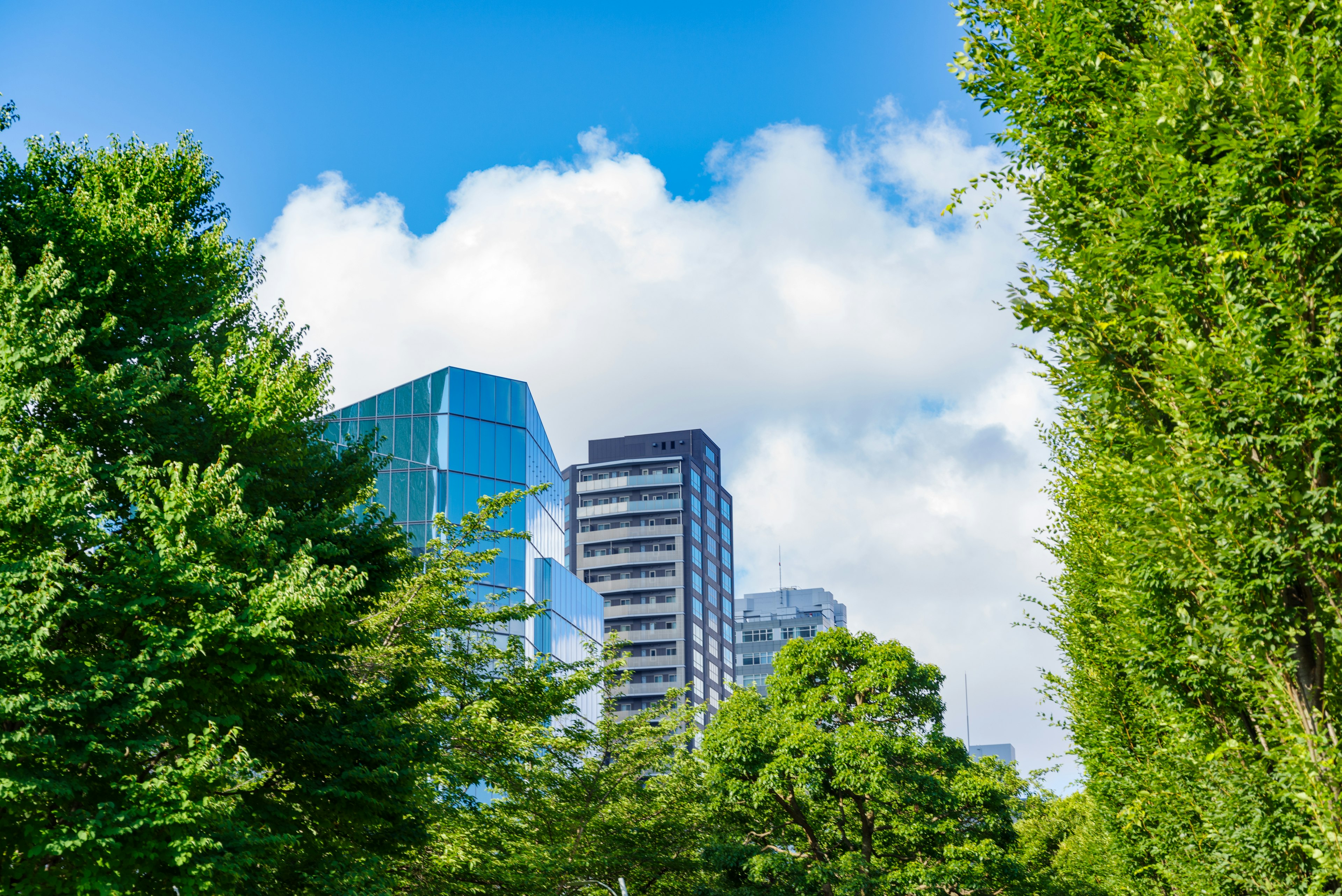 緑豊かな公園の中に高層ビルがそびえ立つ青空の風景