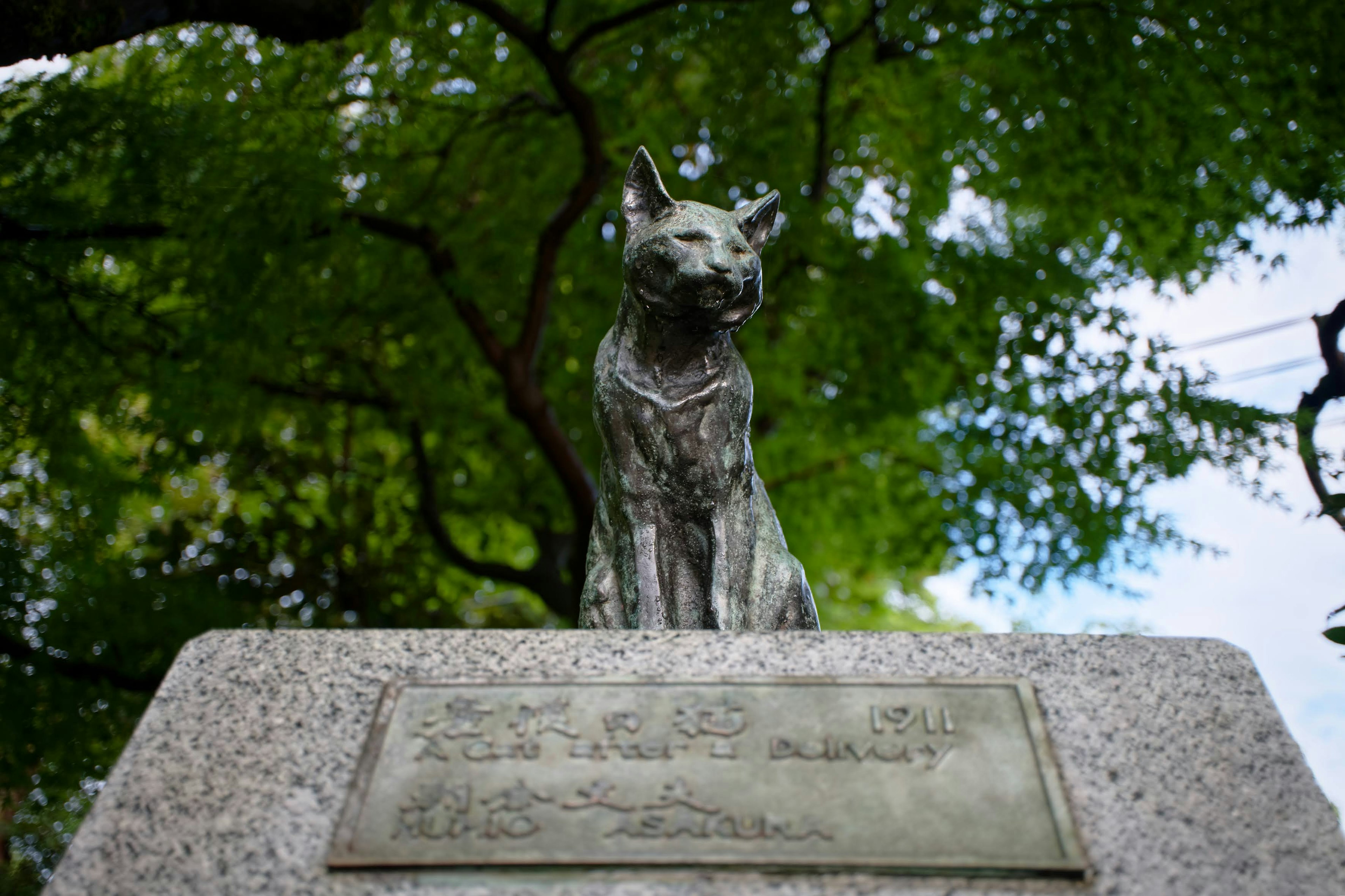 Statue of Hachiko the loyal dog surrounded by green trees