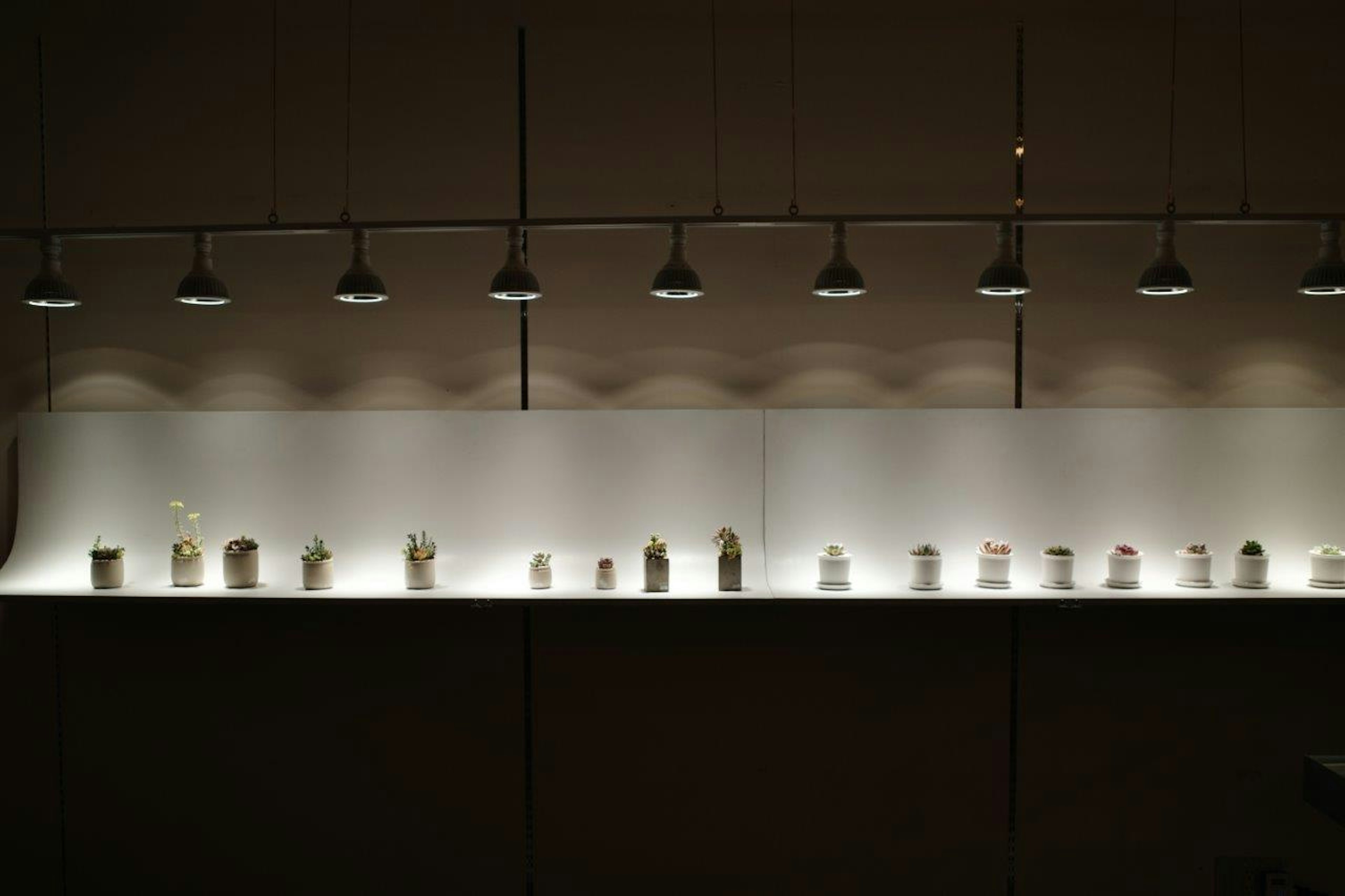 Display of jars and cans under bright lighting