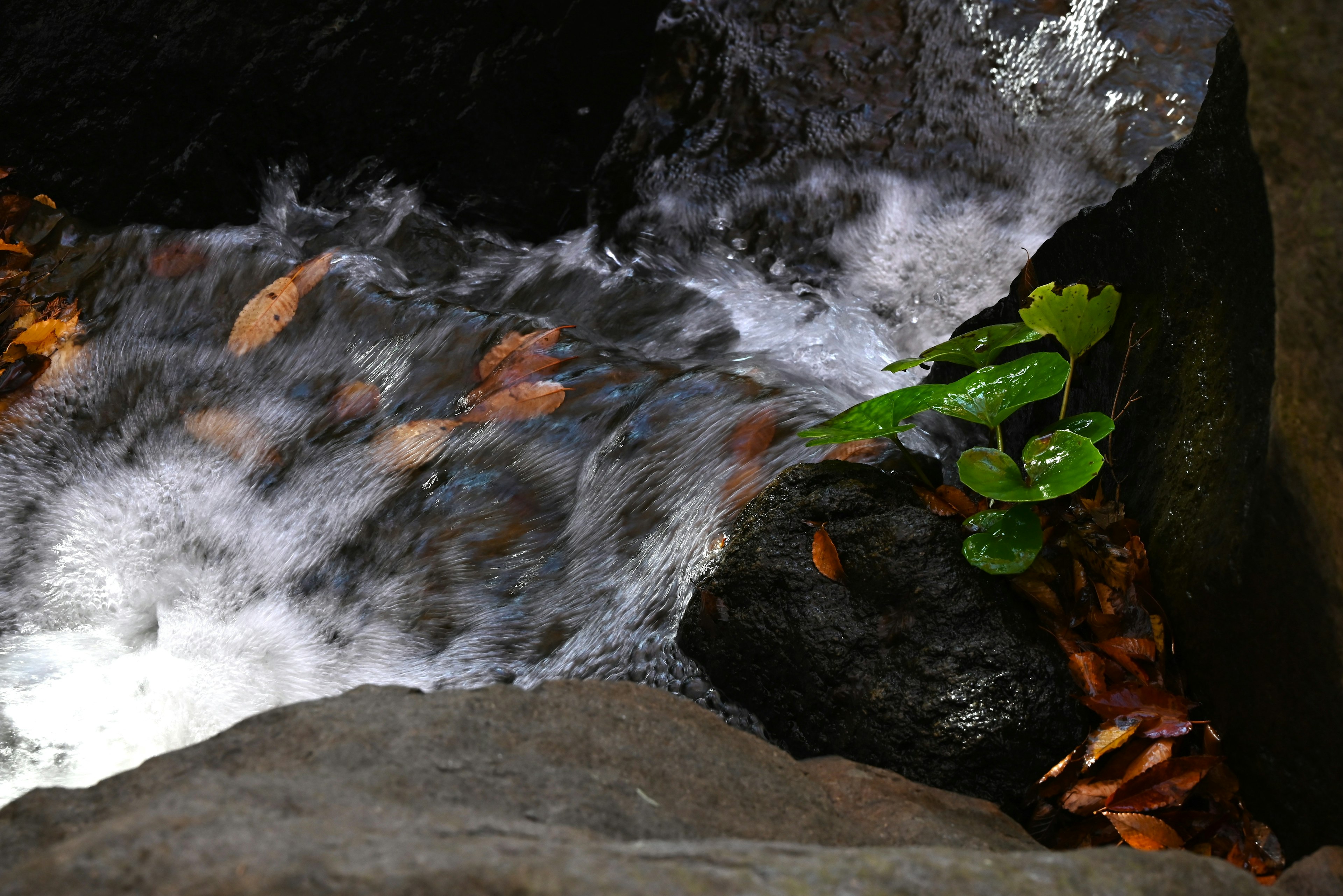 Air terjun kecil mengalir di atas batu dengan daun hijau di dekatnya