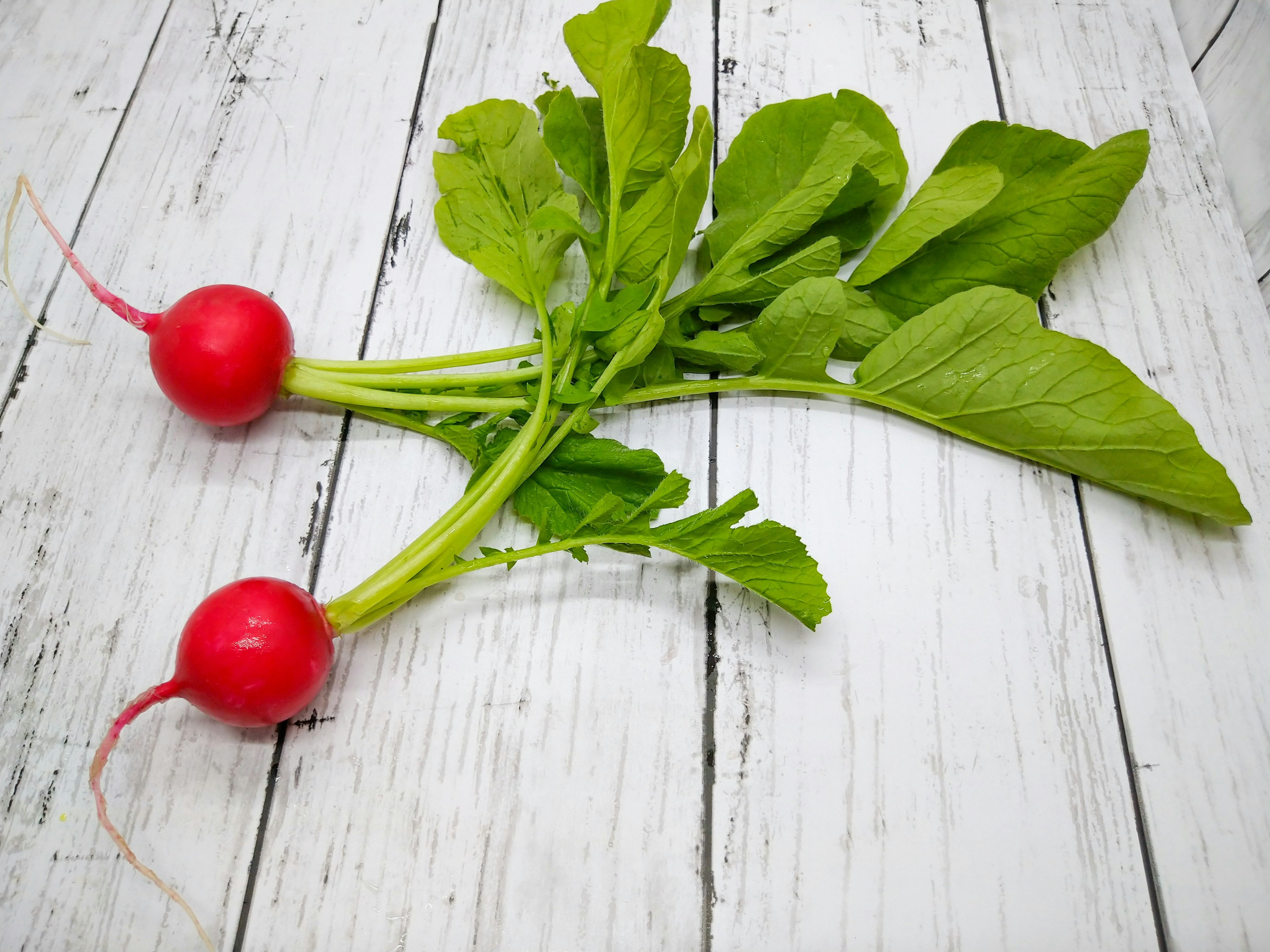 Red radishes with green leaves on a white wooden table