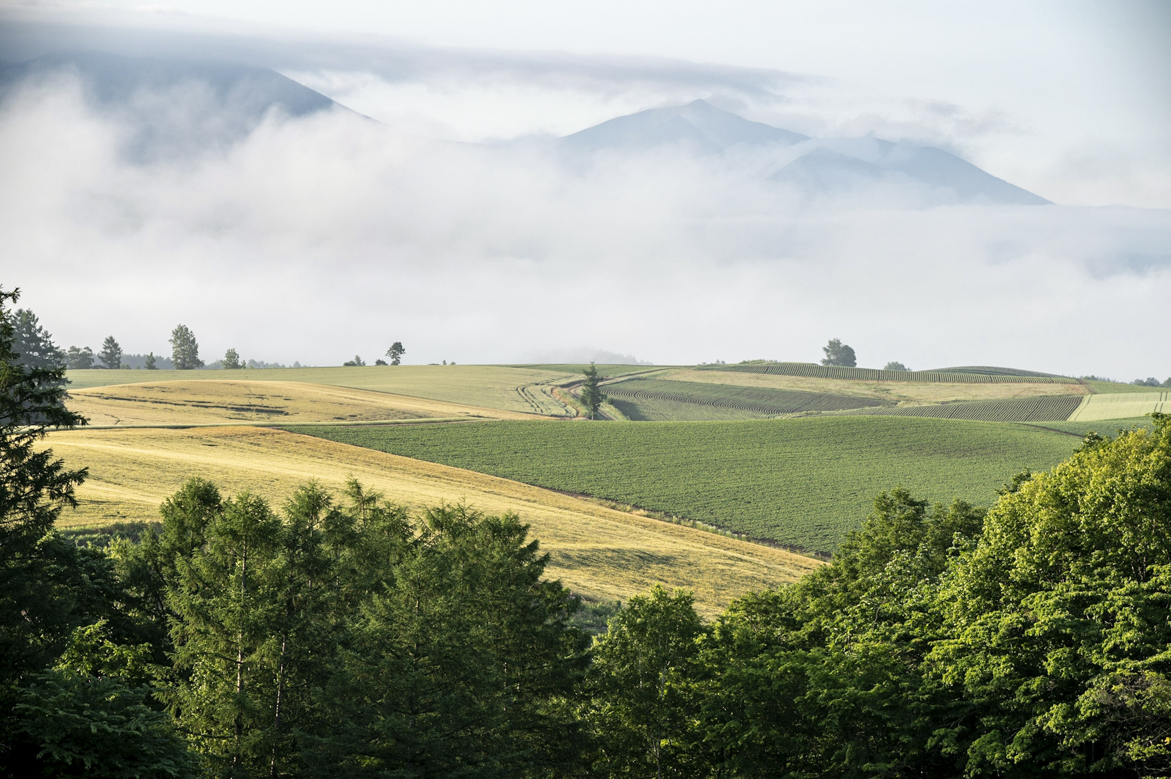 Paisaje de montañas brumosas y tierras agrícolas verdes