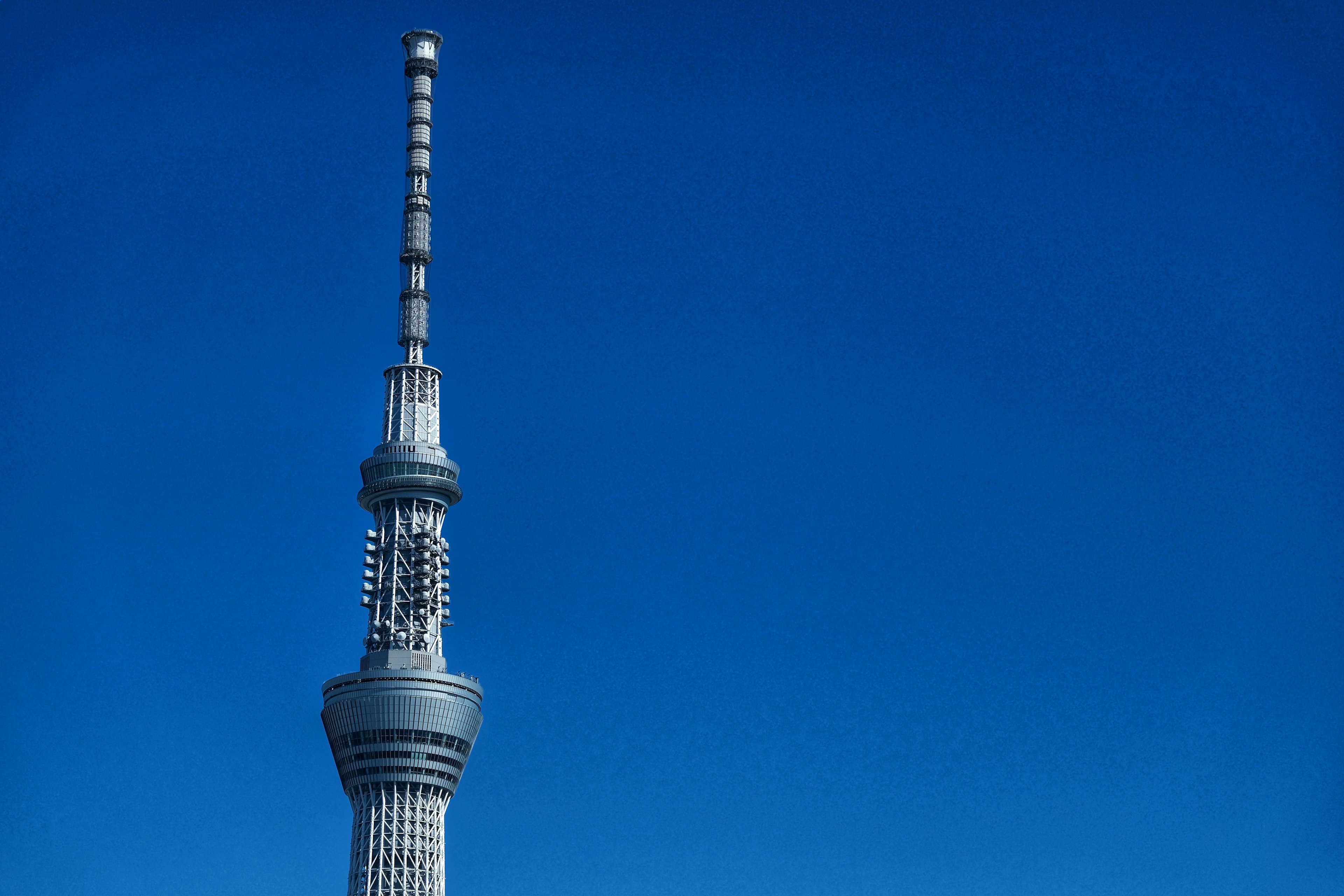 東京スカイツリーの上部が青空にそびえる