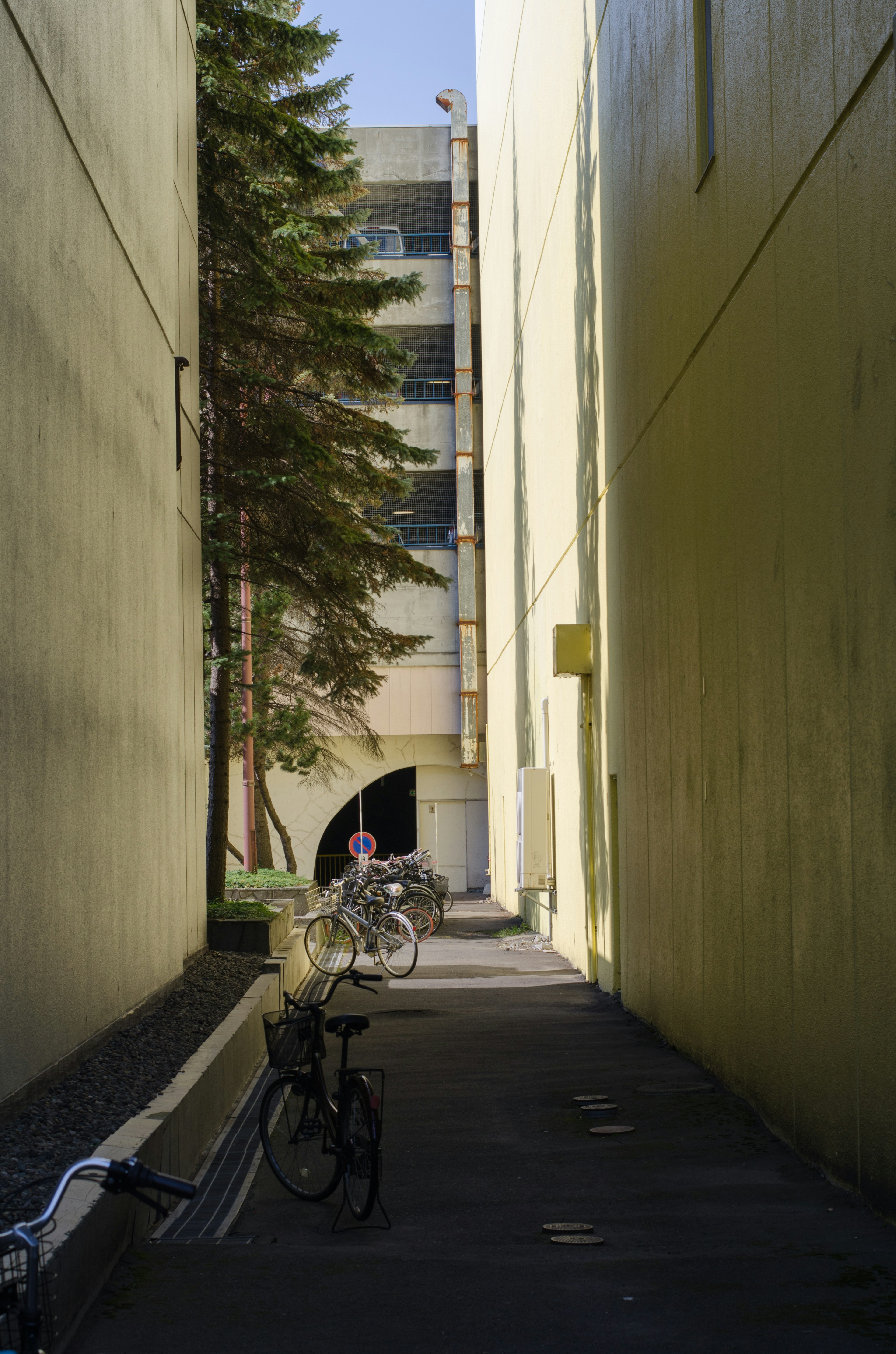 Narrow passageway with parked bicycles surrounded by yellow walls and trees