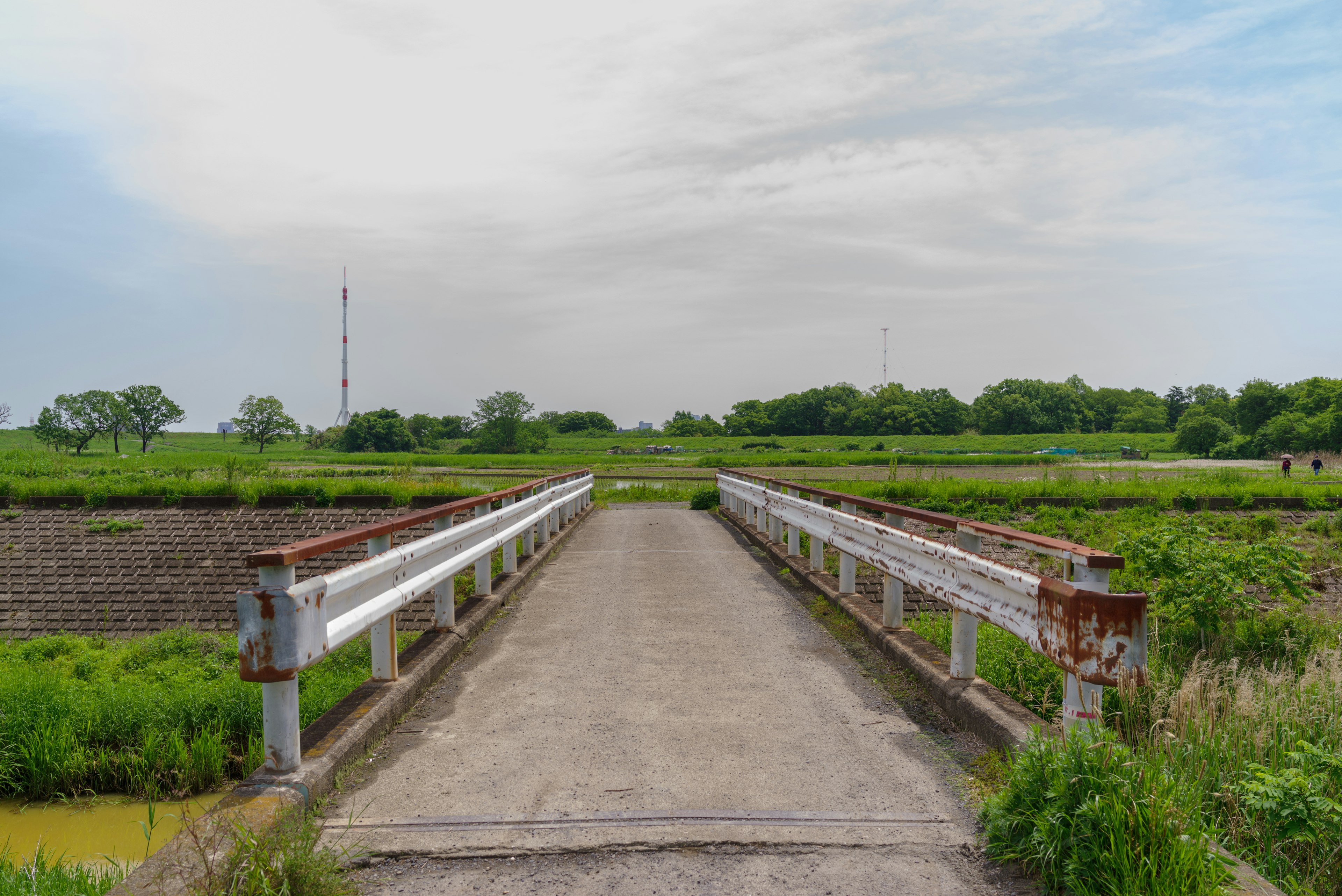 A view of a bridge over lush green fields