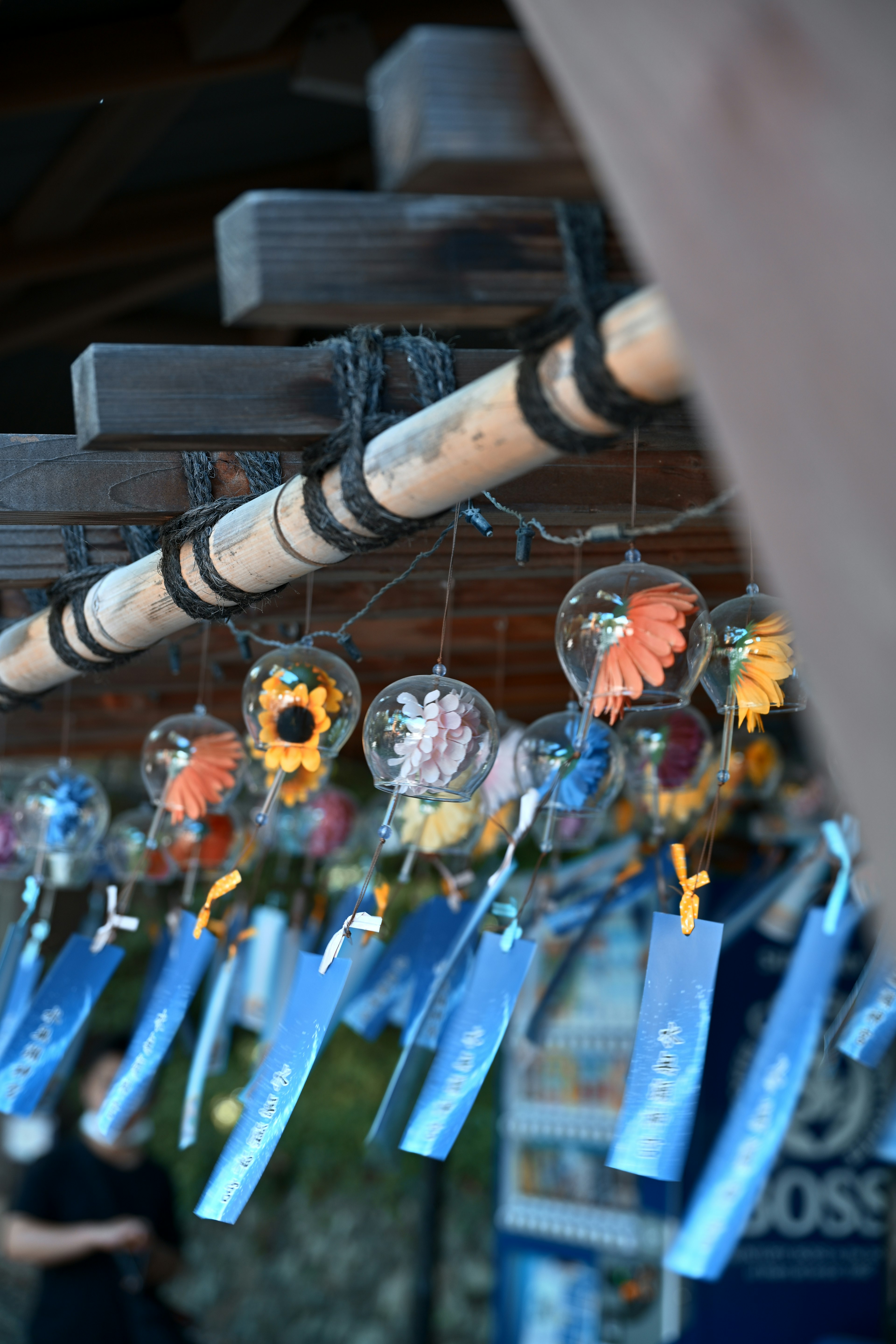 Colorful flower decorations in glass ornaments hanging from a wooden structure