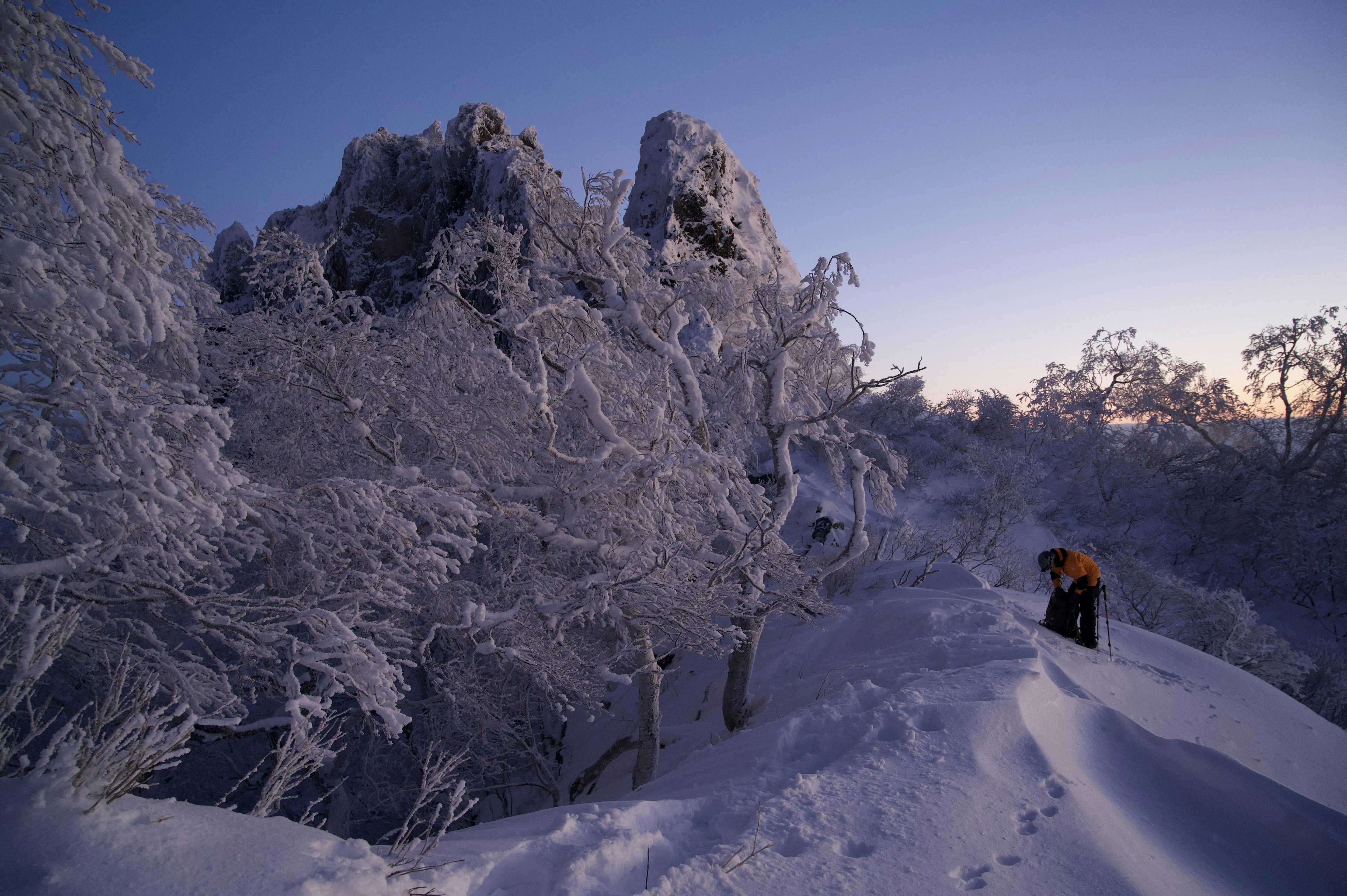 雪に覆われた木々と冬の風景の中で歩く人