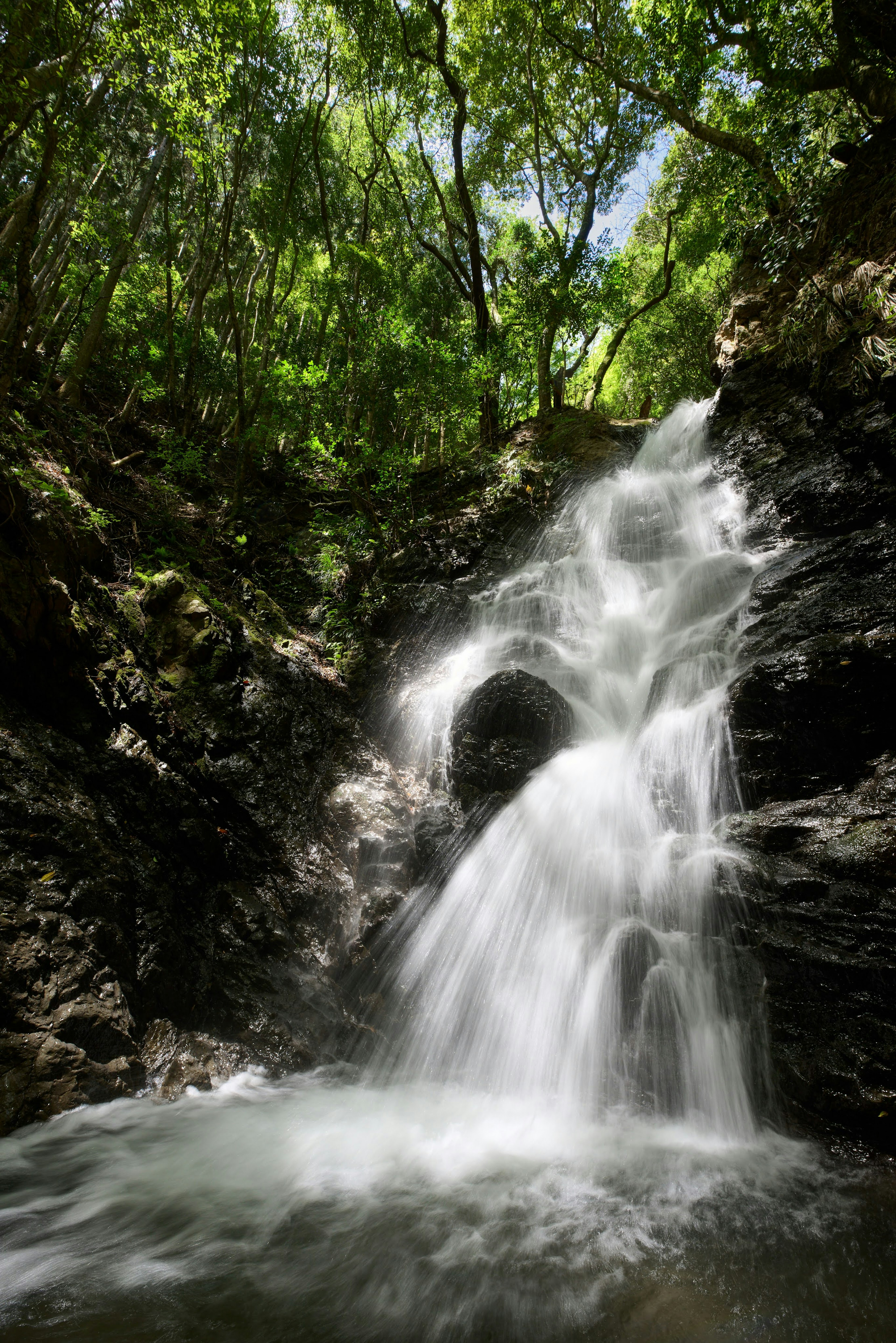 Air terjun indah dikelilingi oleh vegetasi subur air mengalir dan batu