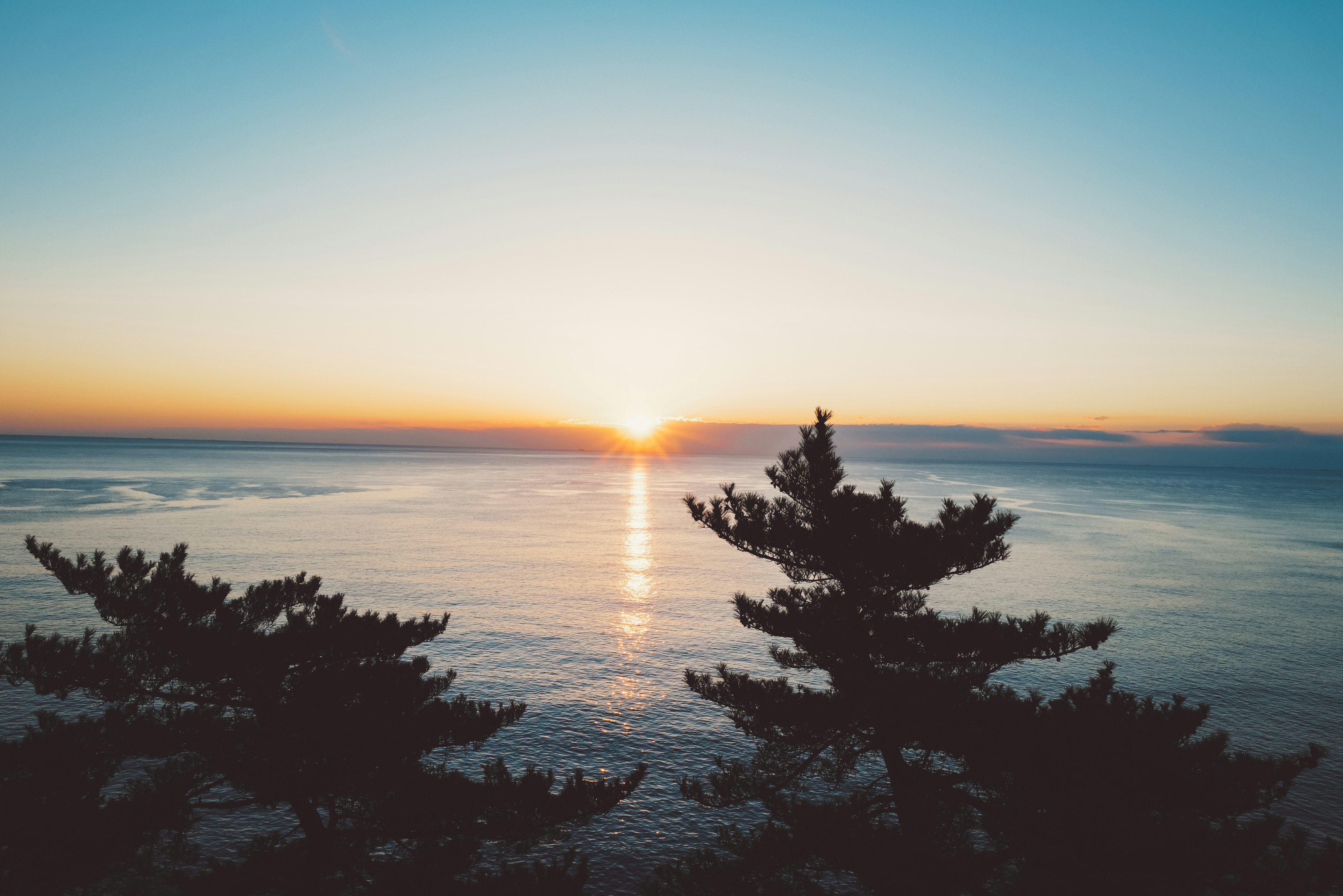 海と夕日の美しい風景にシルエットの木々