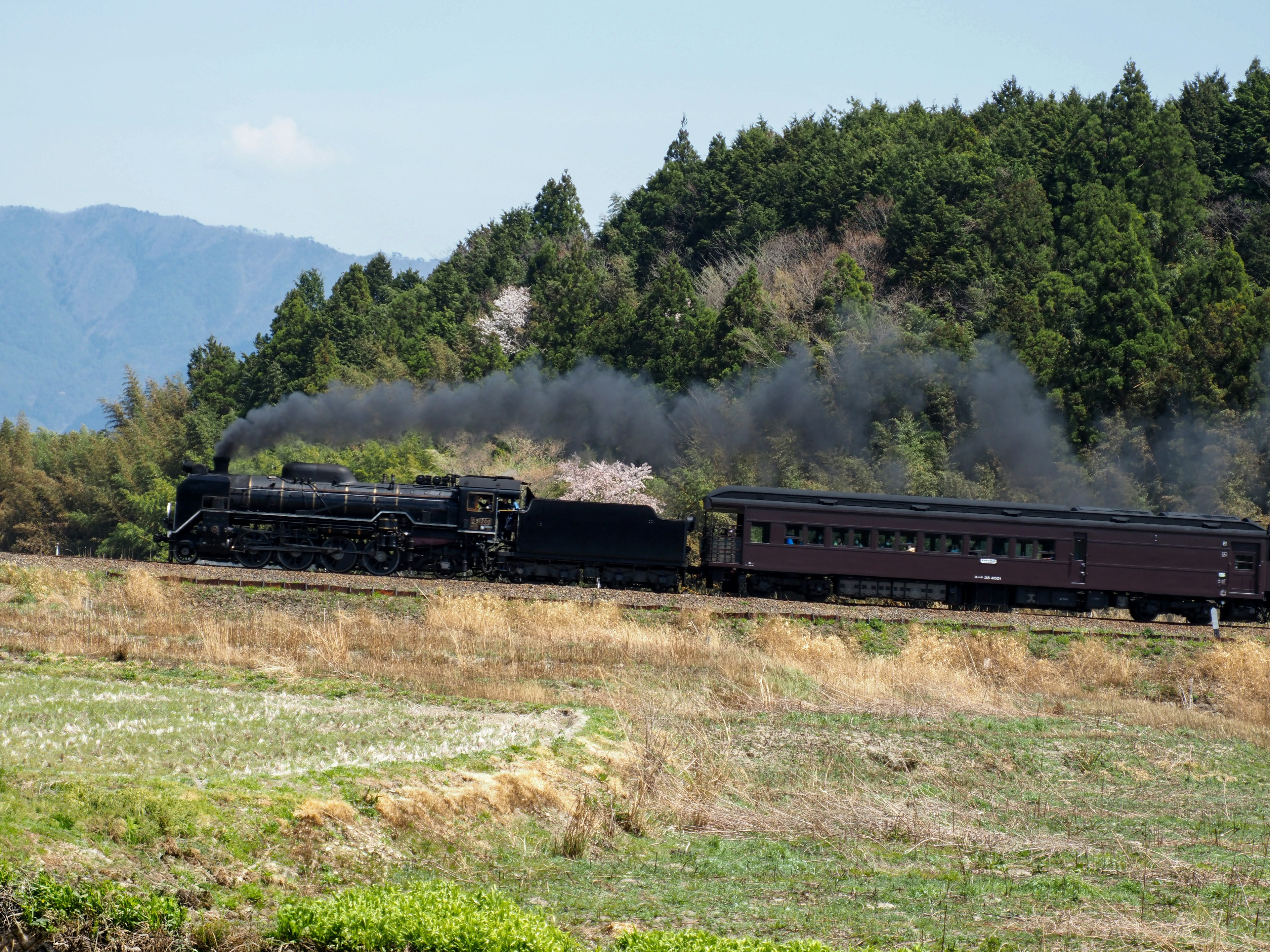 Locomotiva a vapore e carrozza passeggeri che viaggiano attraverso campi verdi