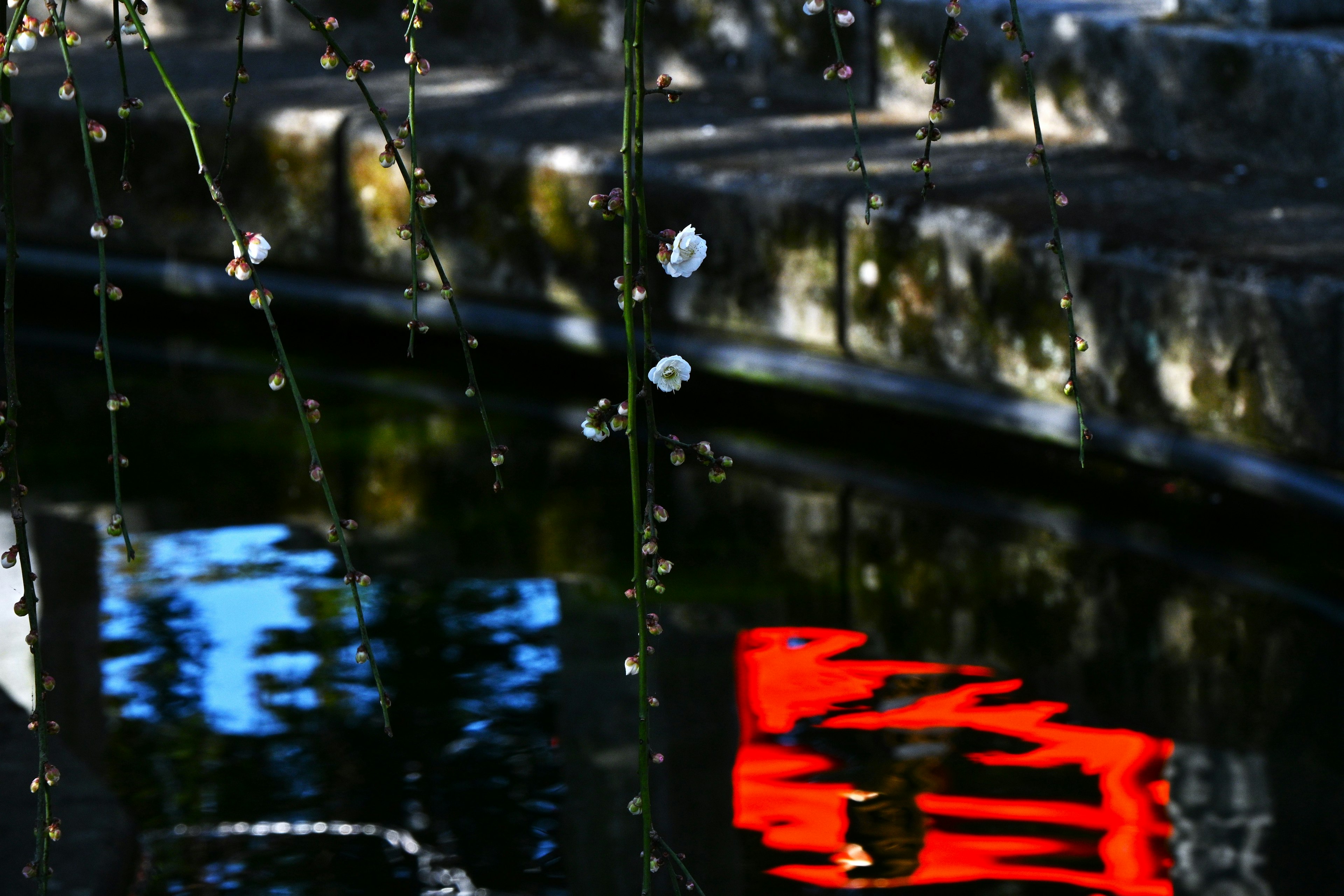 A tranquil reflection of a red building and floral decorations on the water surface