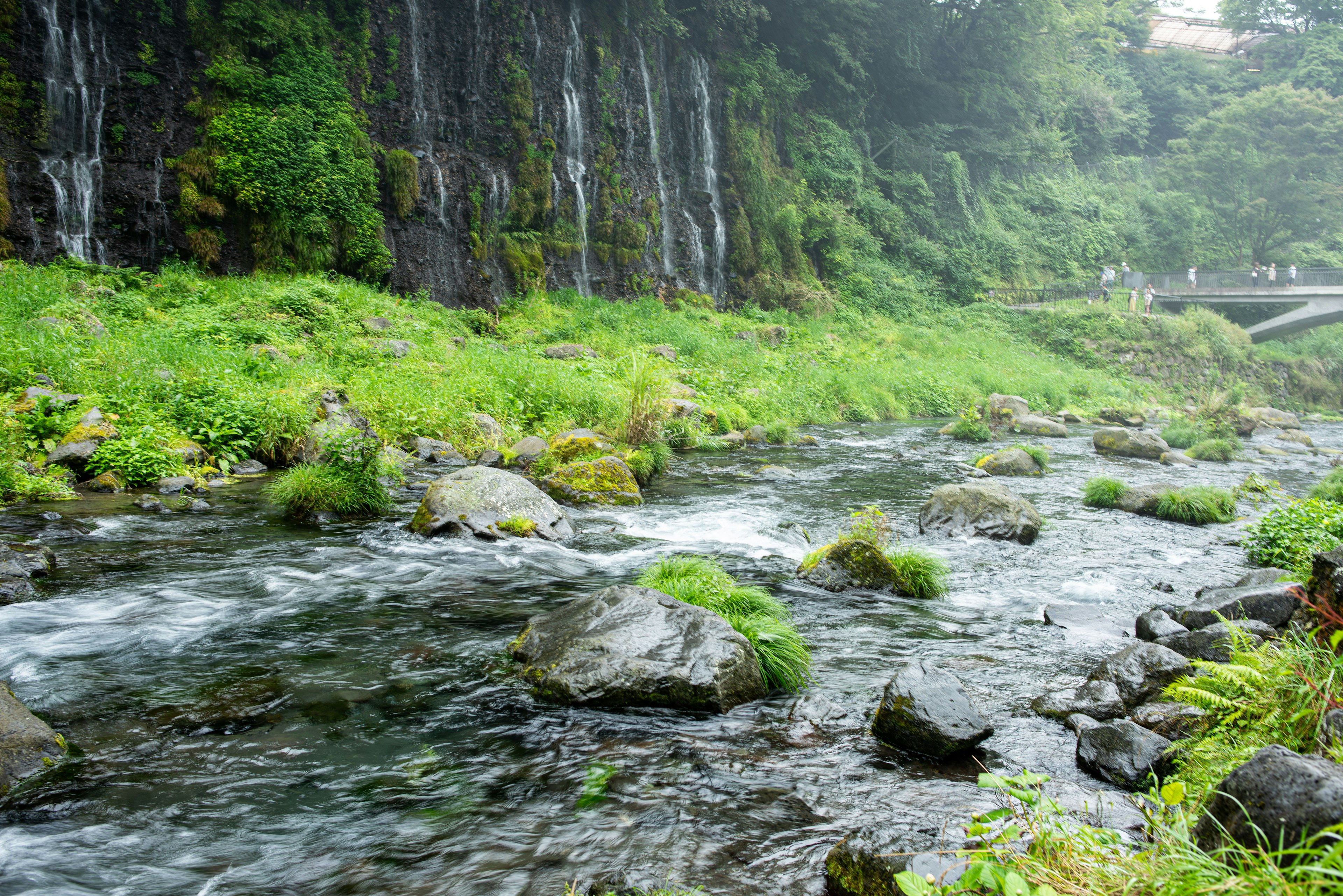 Pemandangan sungai subur dengan air terjun dan jembatan di kejauhan