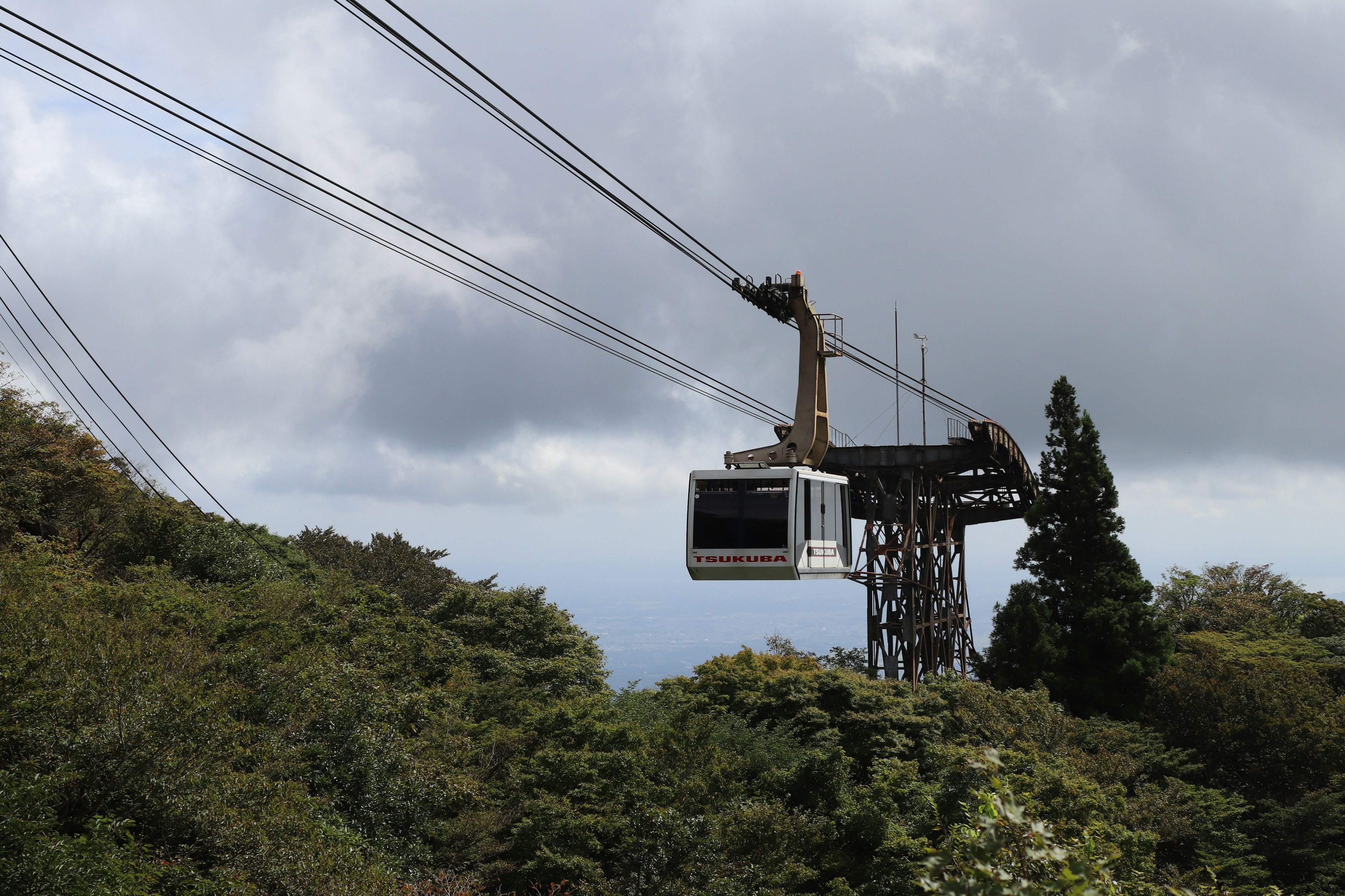 Cable car passing over lush greenery