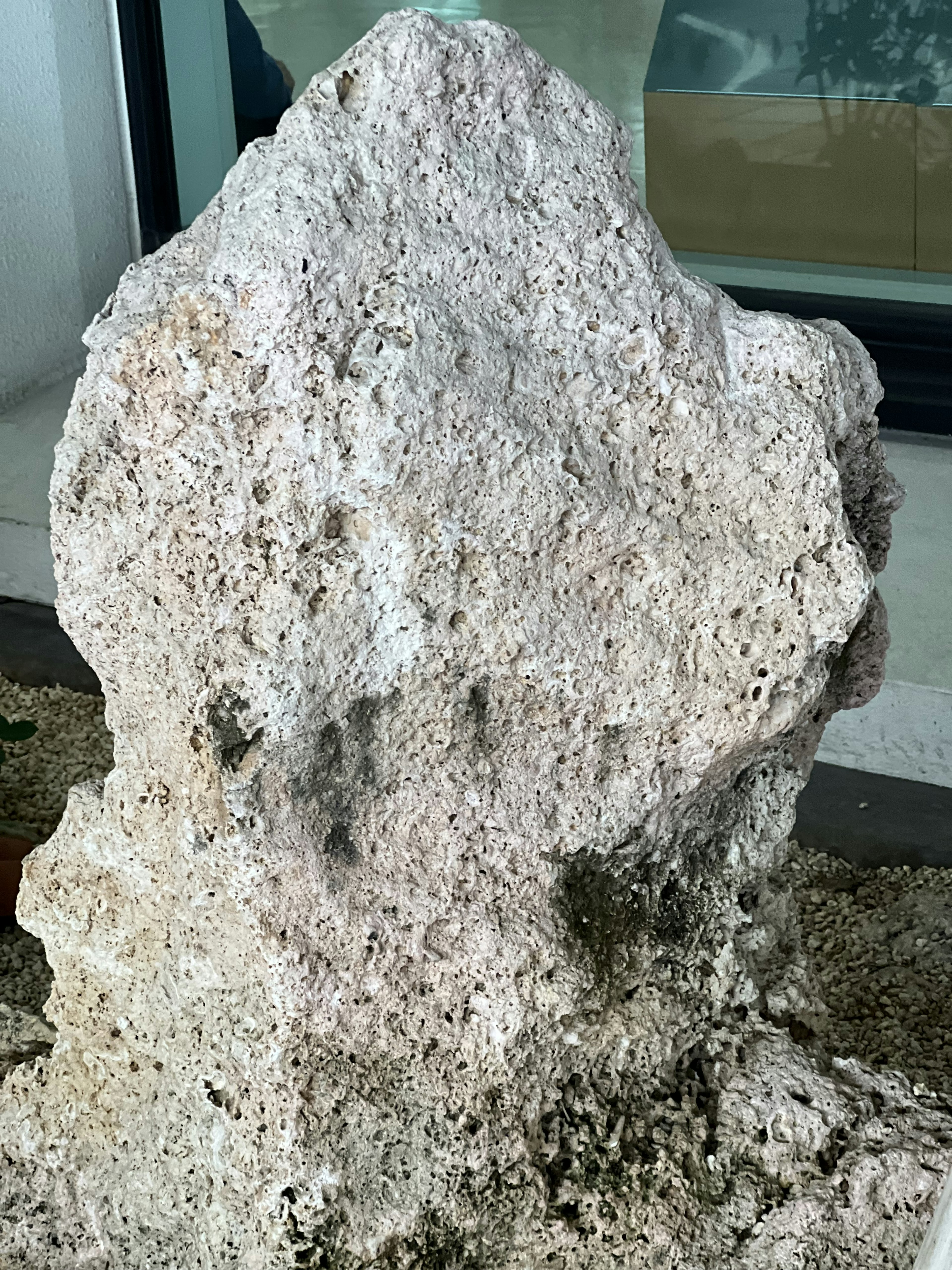 Una roca blanca situada cerca de una ventana