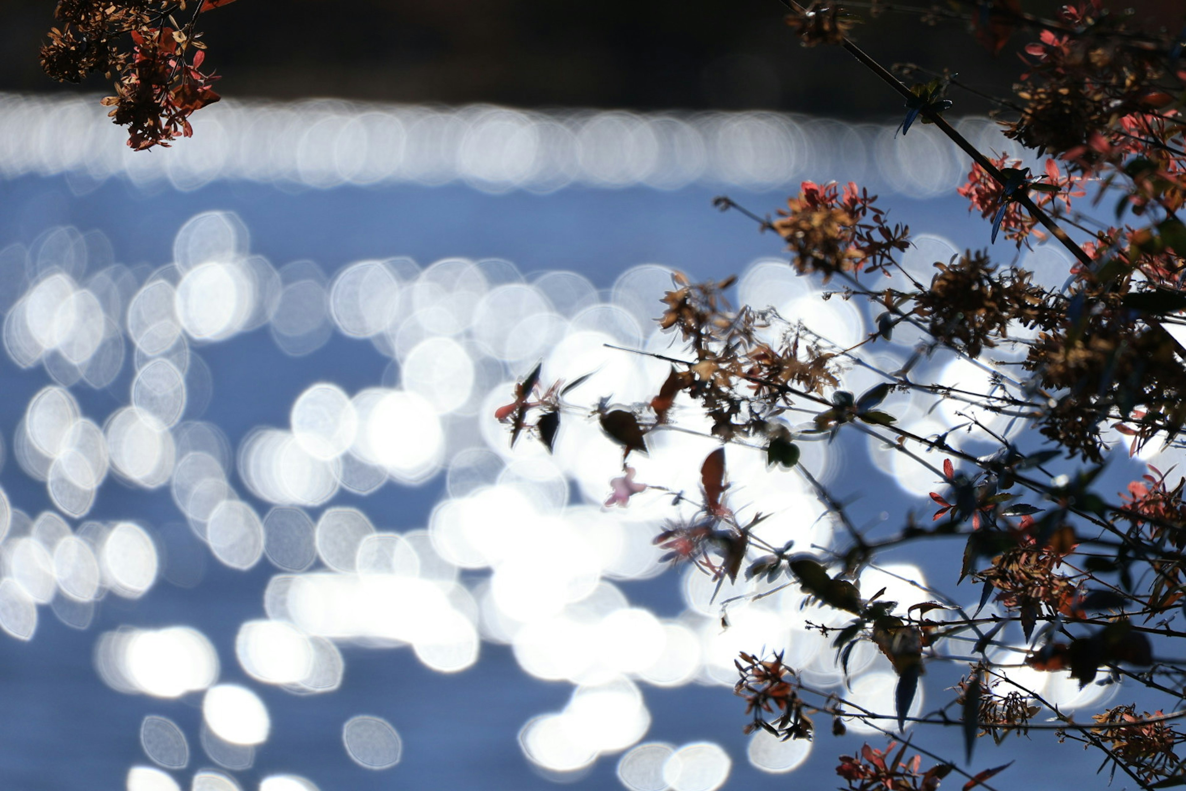 Funkelnde Reflexionen auf einer blauen Wasseroberfläche mit Herbstblättern