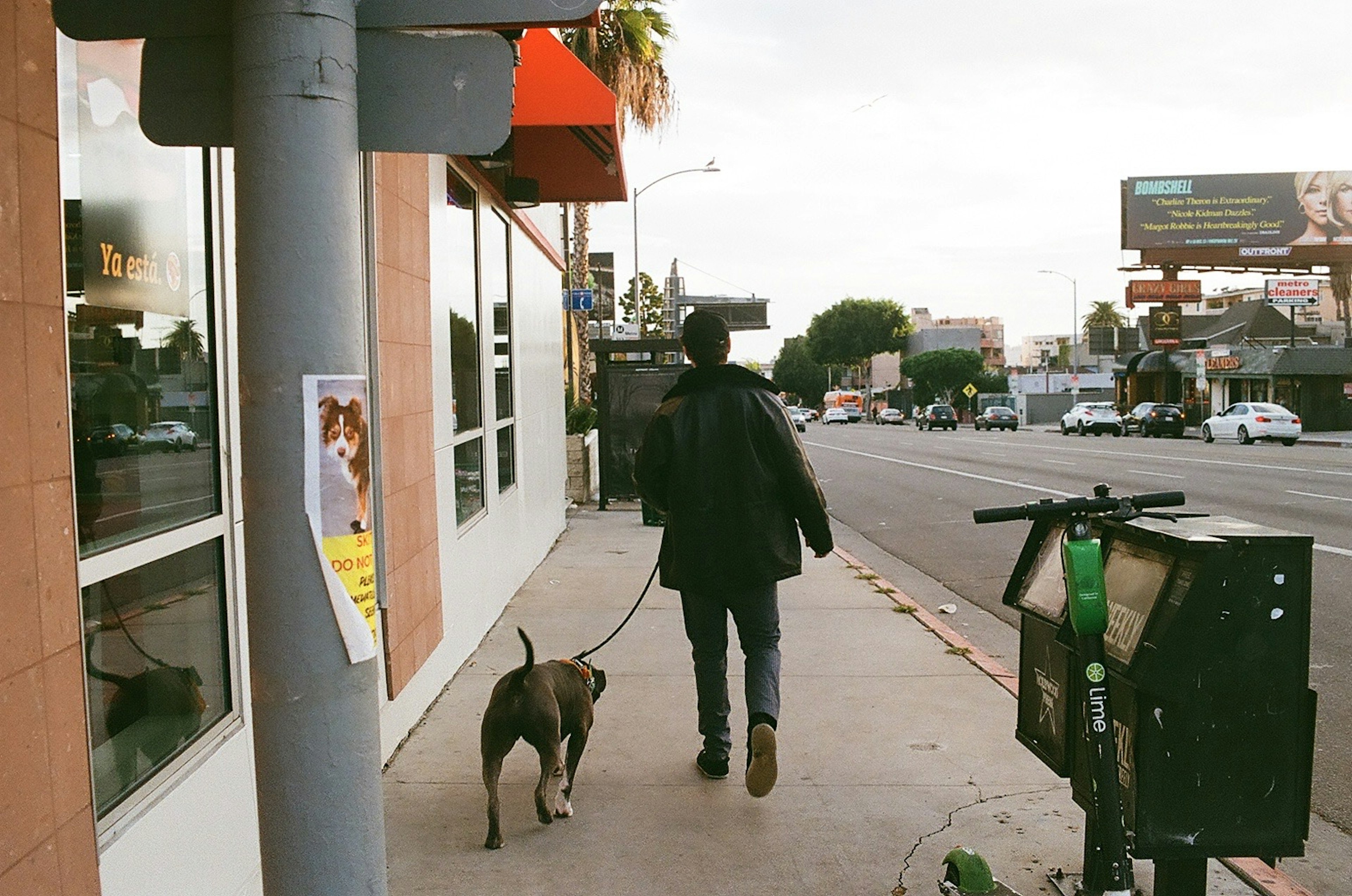 A person walking a dog along a city sidewalk