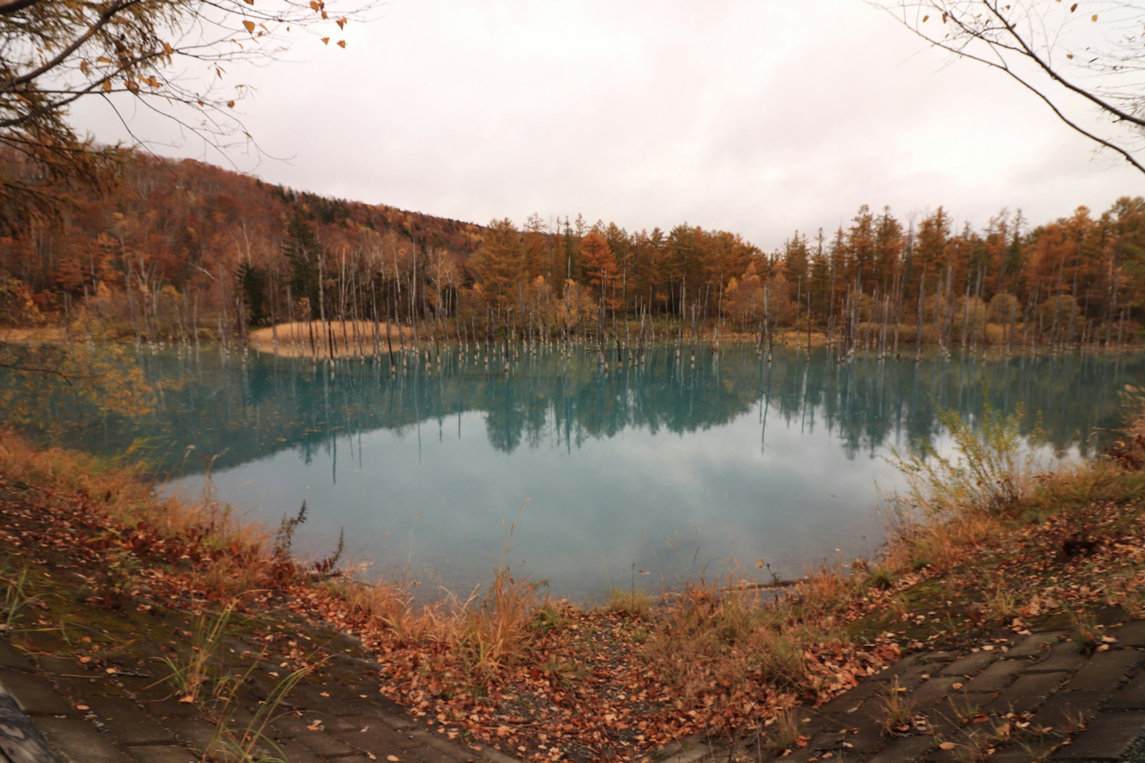 Un lago tranquillo circondato da foglie autunnali e alberi