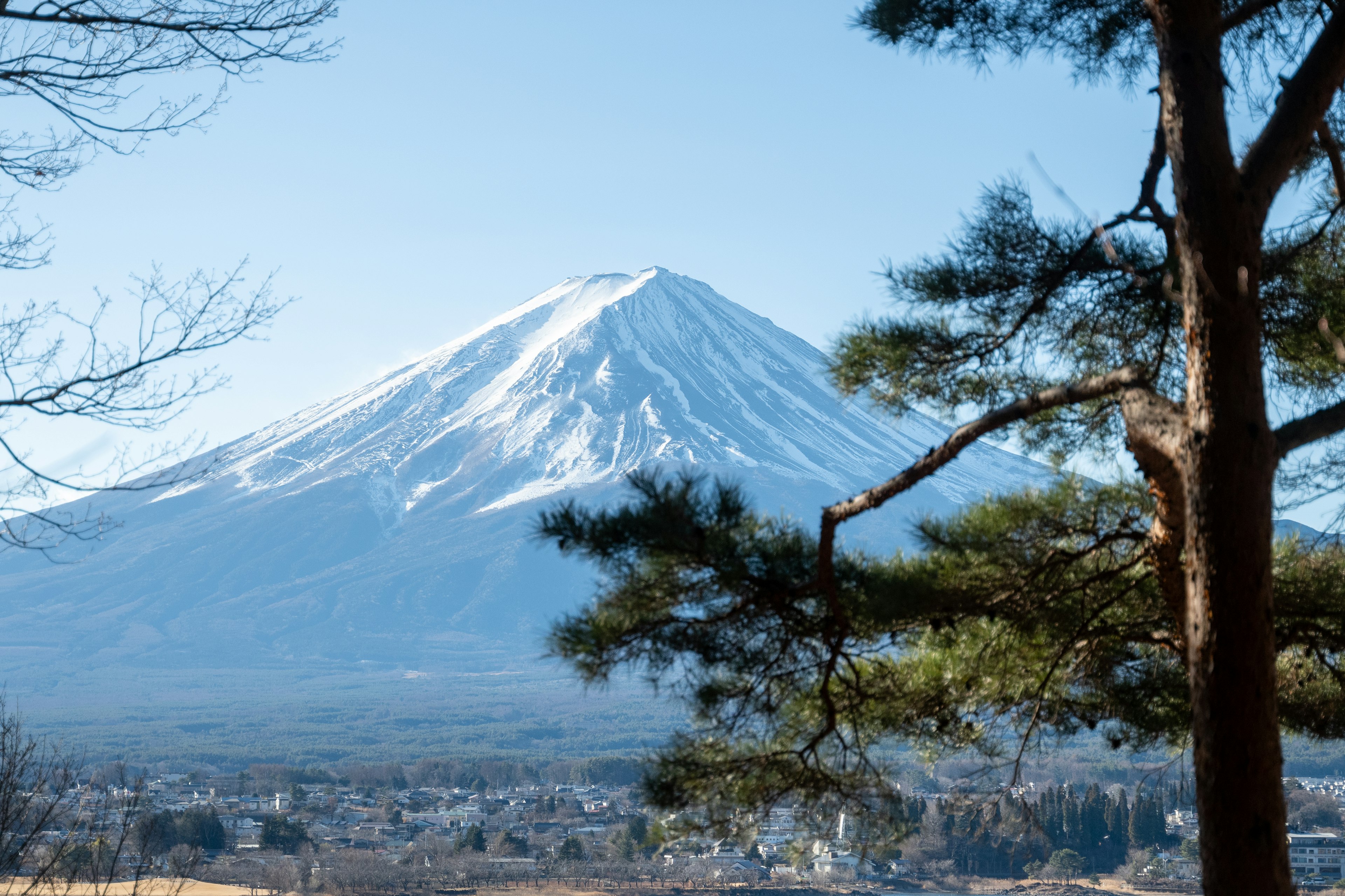 ทิวทัศน์ที่สวยงามของภูเขาฟูจิที่มีหิมะปกคลุมและต้นไม้รอบๆ