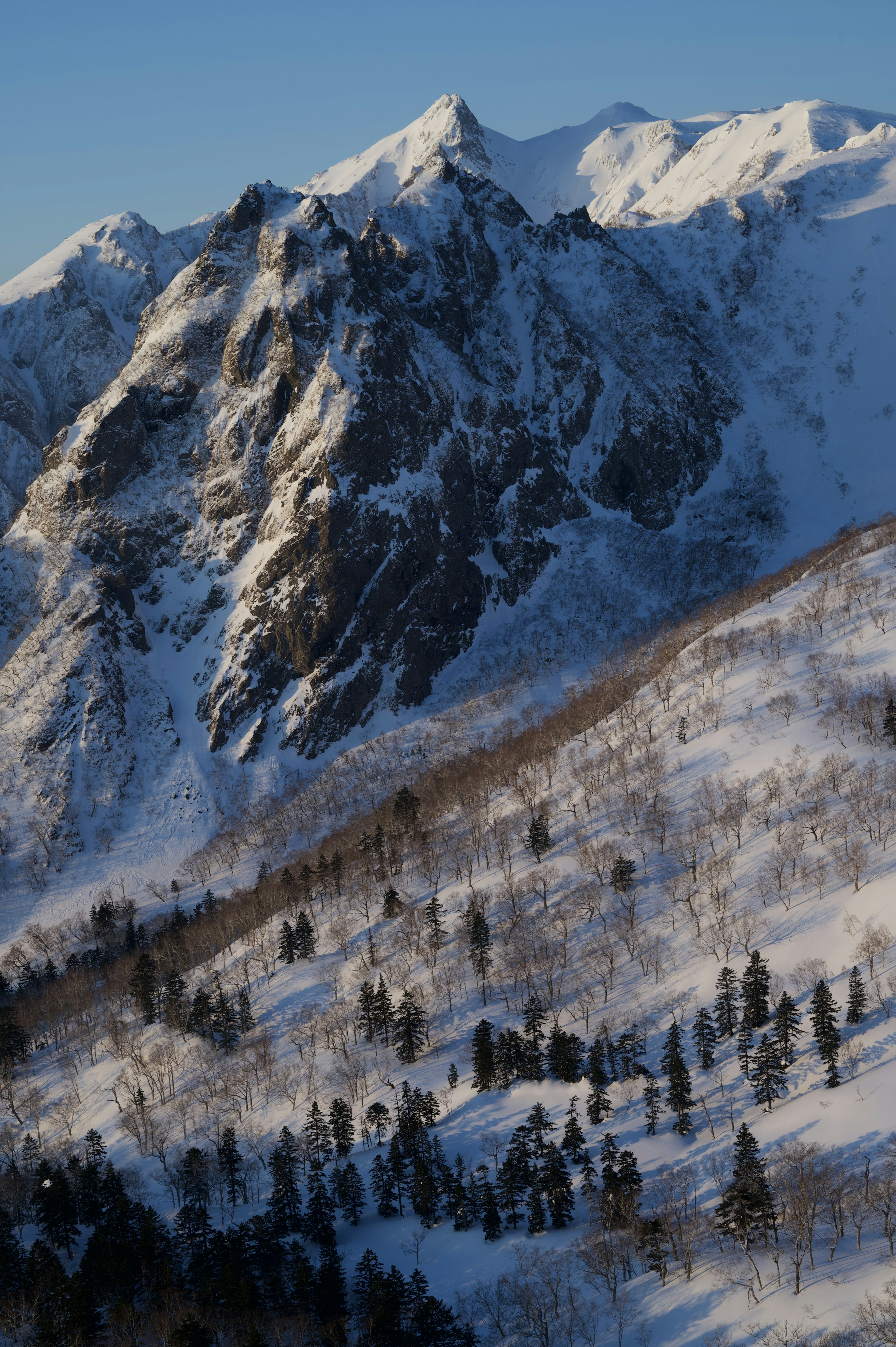 雪に覆われた山々と樹木の風景