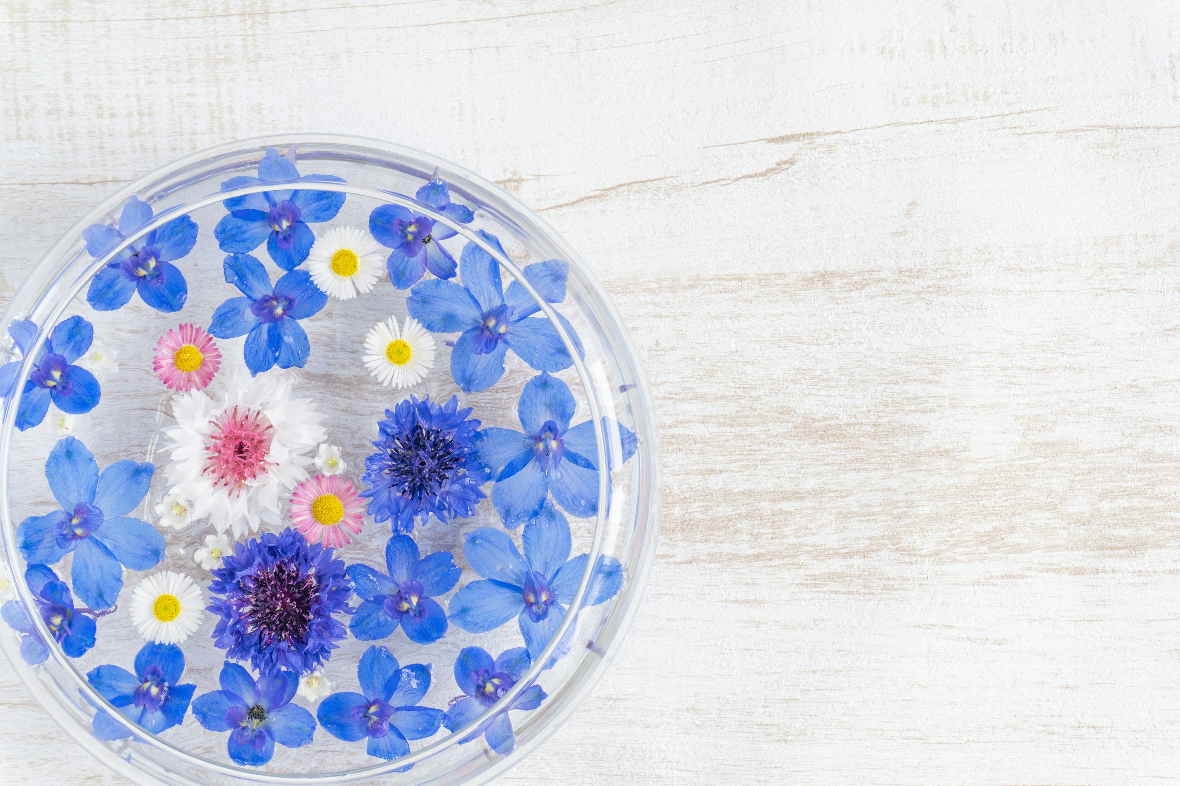 Beautiful arrangement of blue and white flowers floating in a clear dish