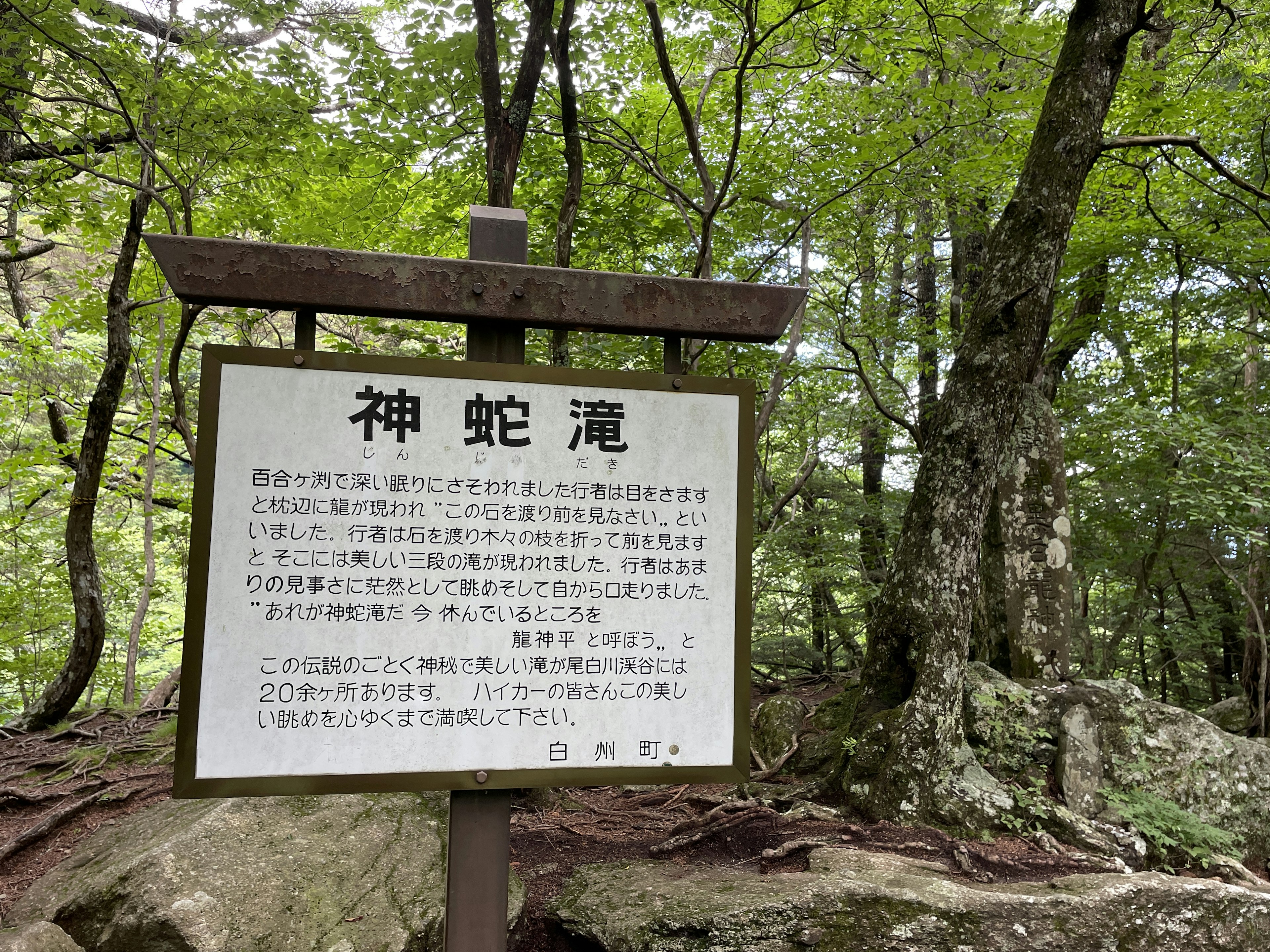 Waldszene mit einem Schild für den Wasserfall Shinbakedaki