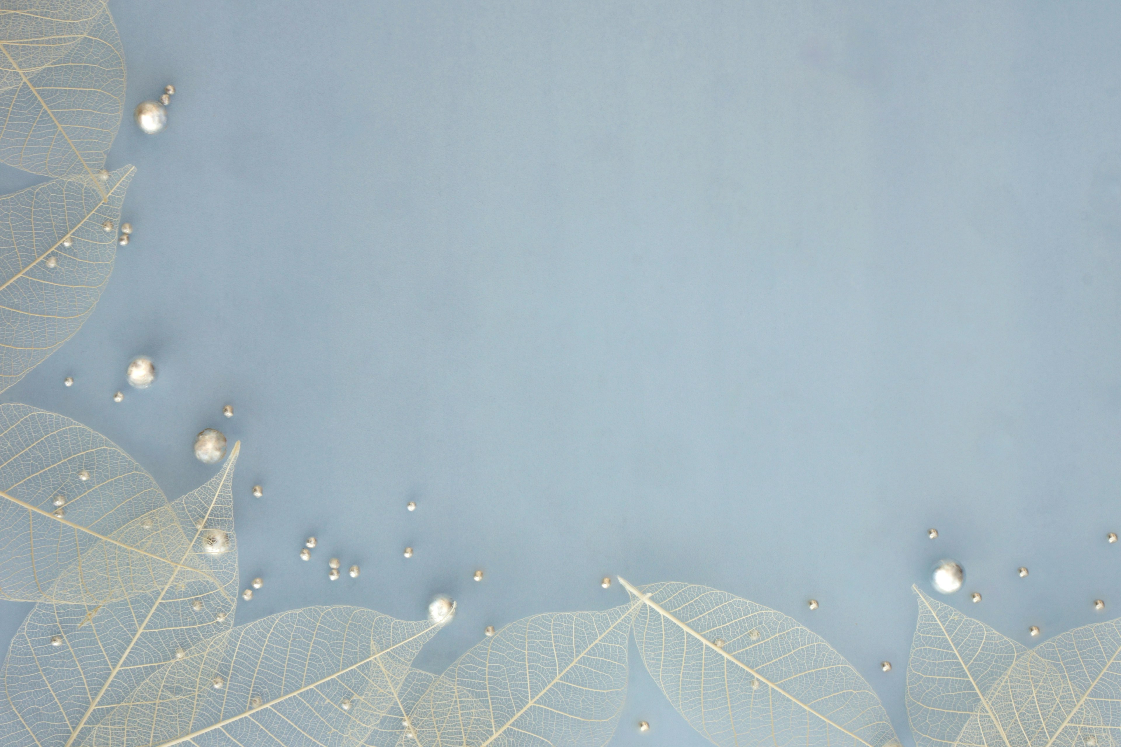 Beautiful design with transparent leaves and droplets on a blue background