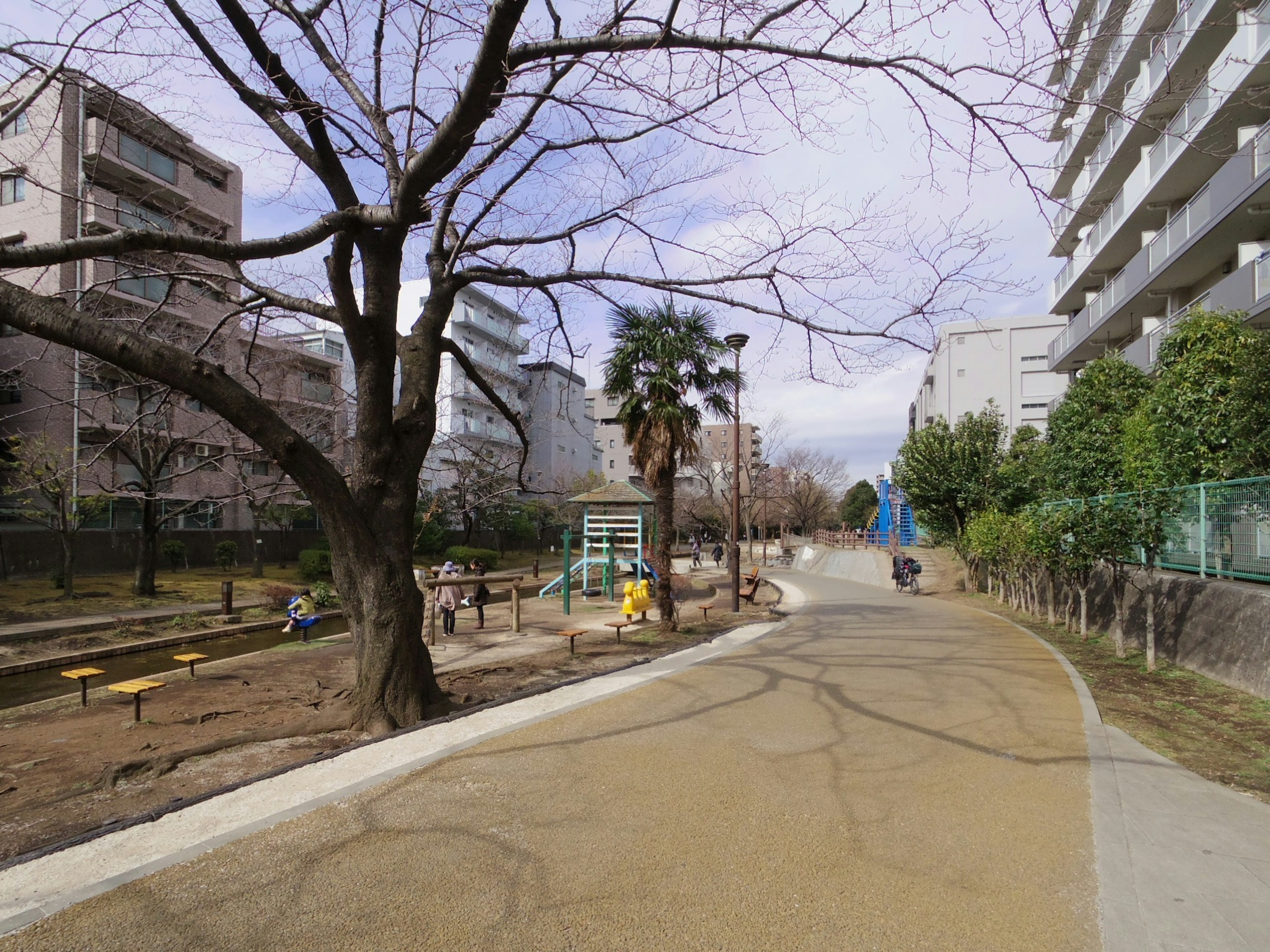 緑の公園と遊具が見える道の風景