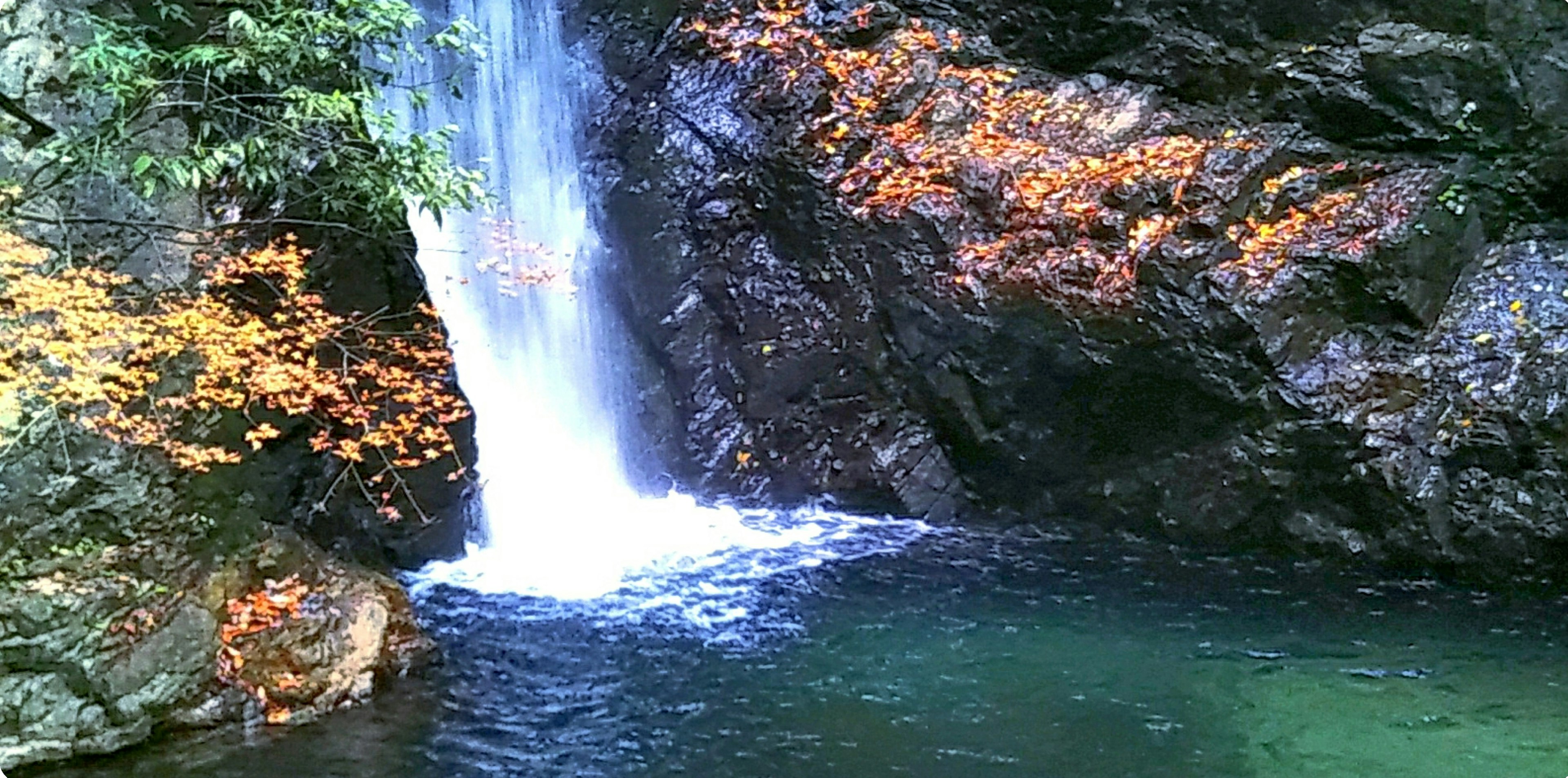 Une belle cascade se déversant dans une piscine verte entourée de rochers et de feuillage d'automne