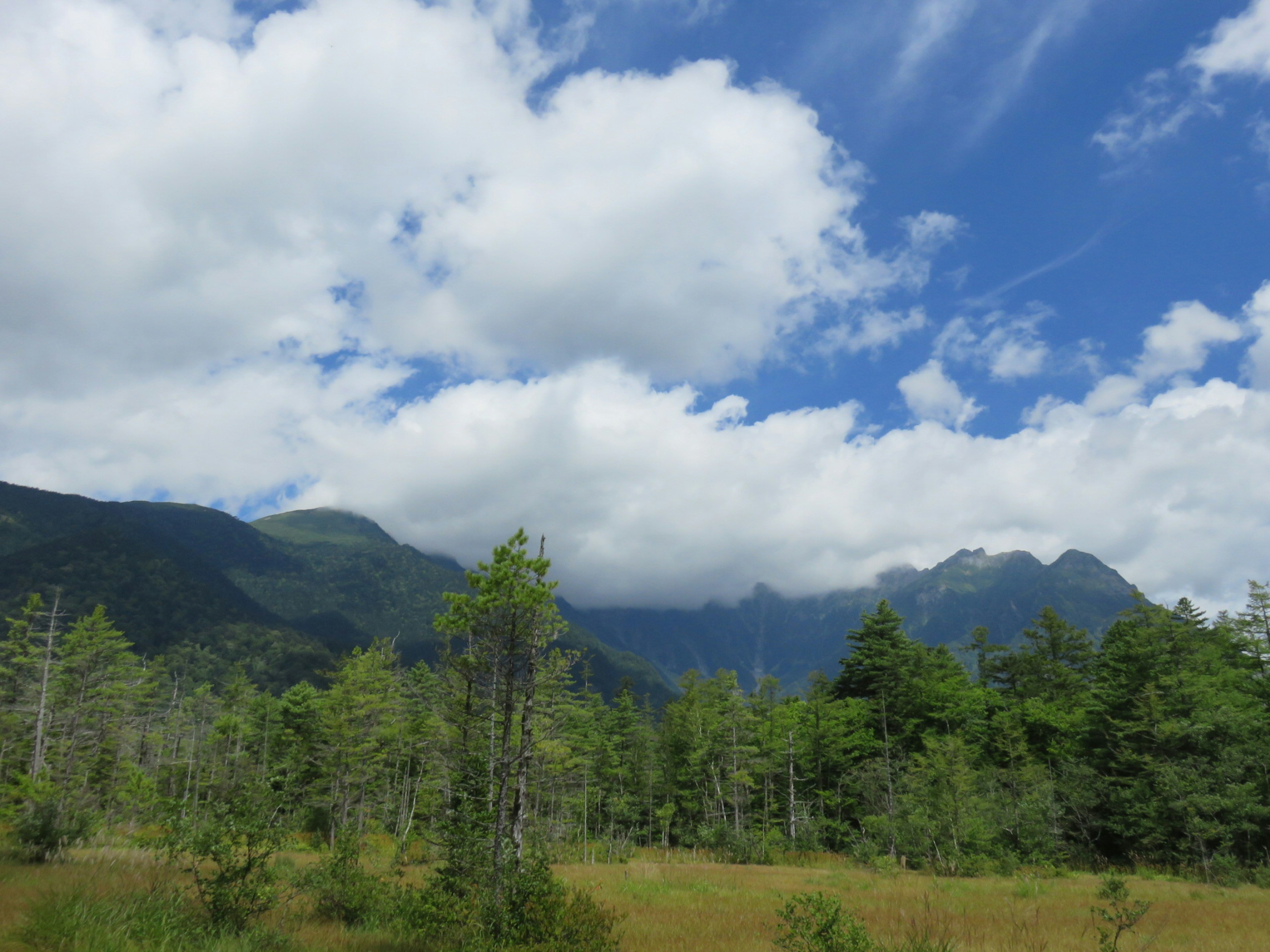 青い空と白い雲に囲まれた緑豊かな山々の風景