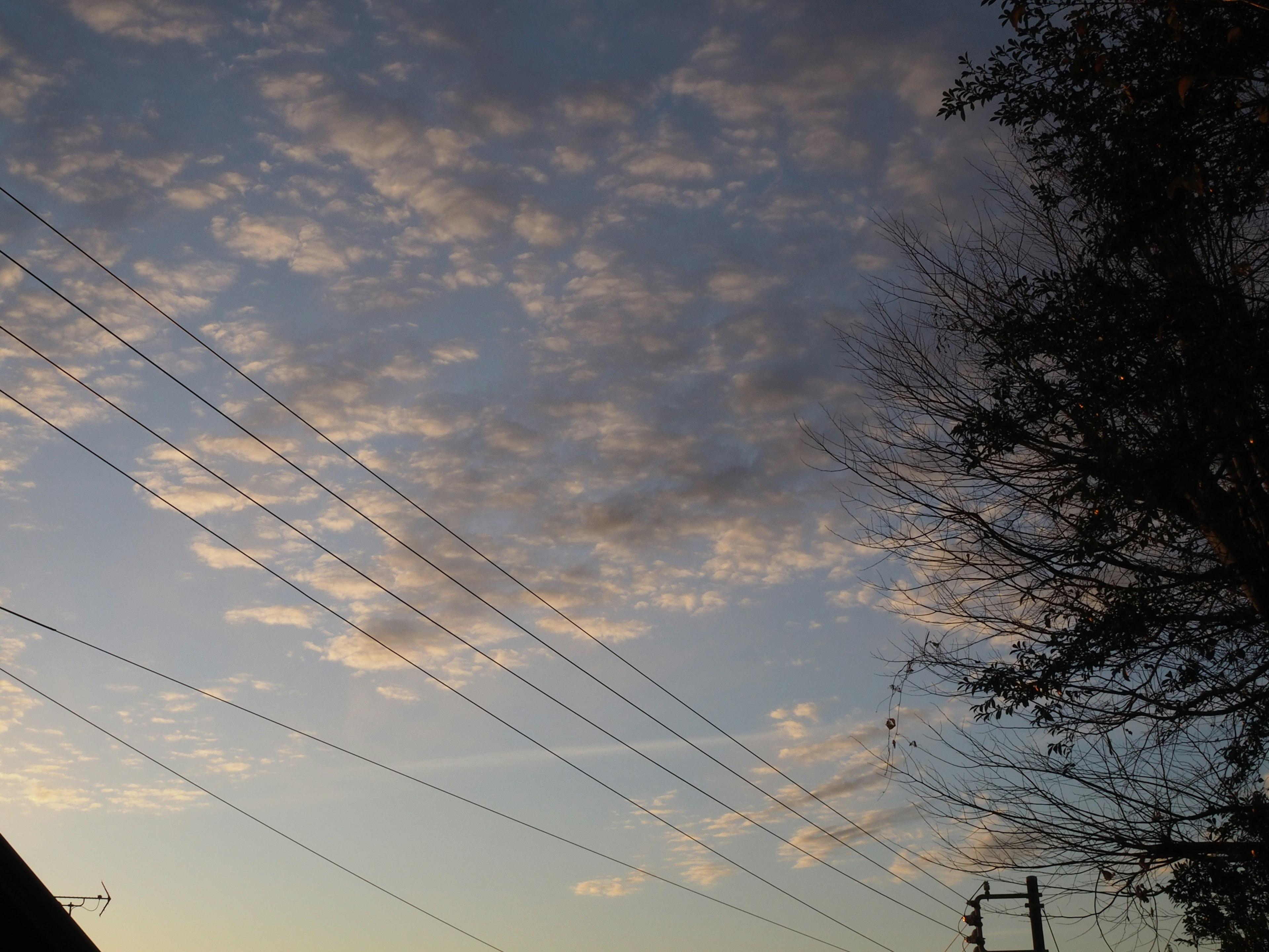 夕暮れ時の空に浮かぶ雲と電線のシルエット