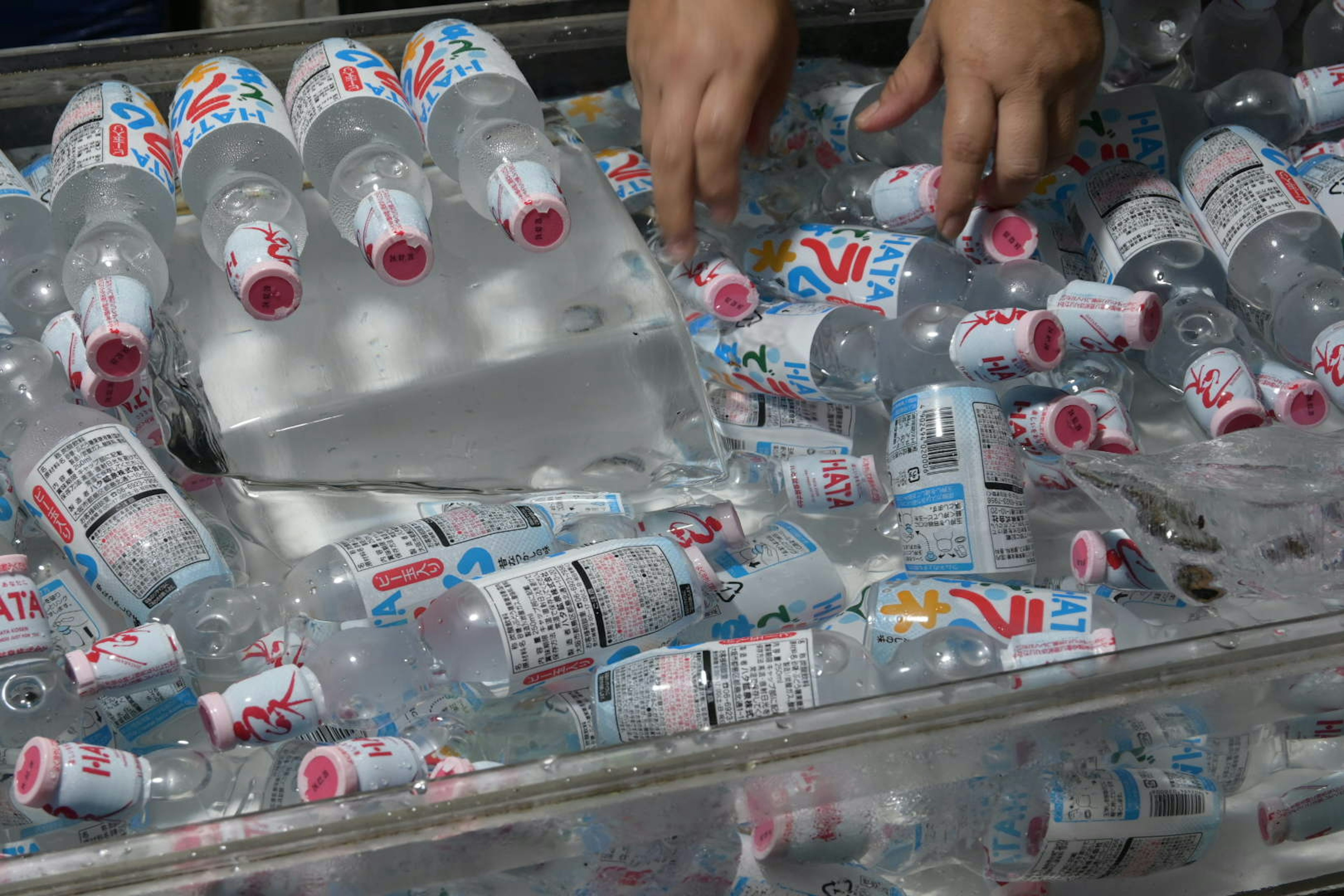 Manos clasificando botellas de agua en hielo