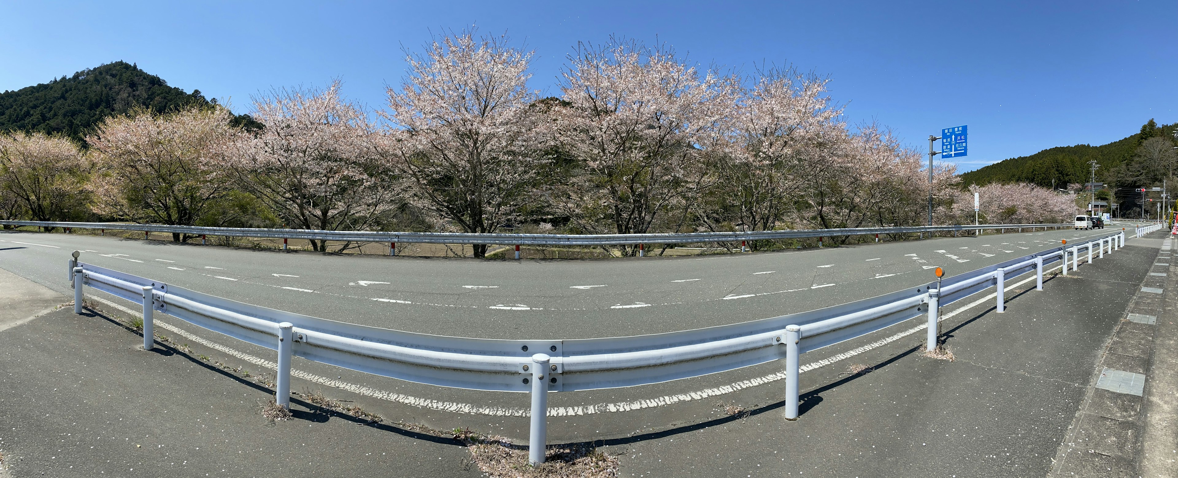 Scenic view of cherry blossom trees lining a road with blue sky and mountains