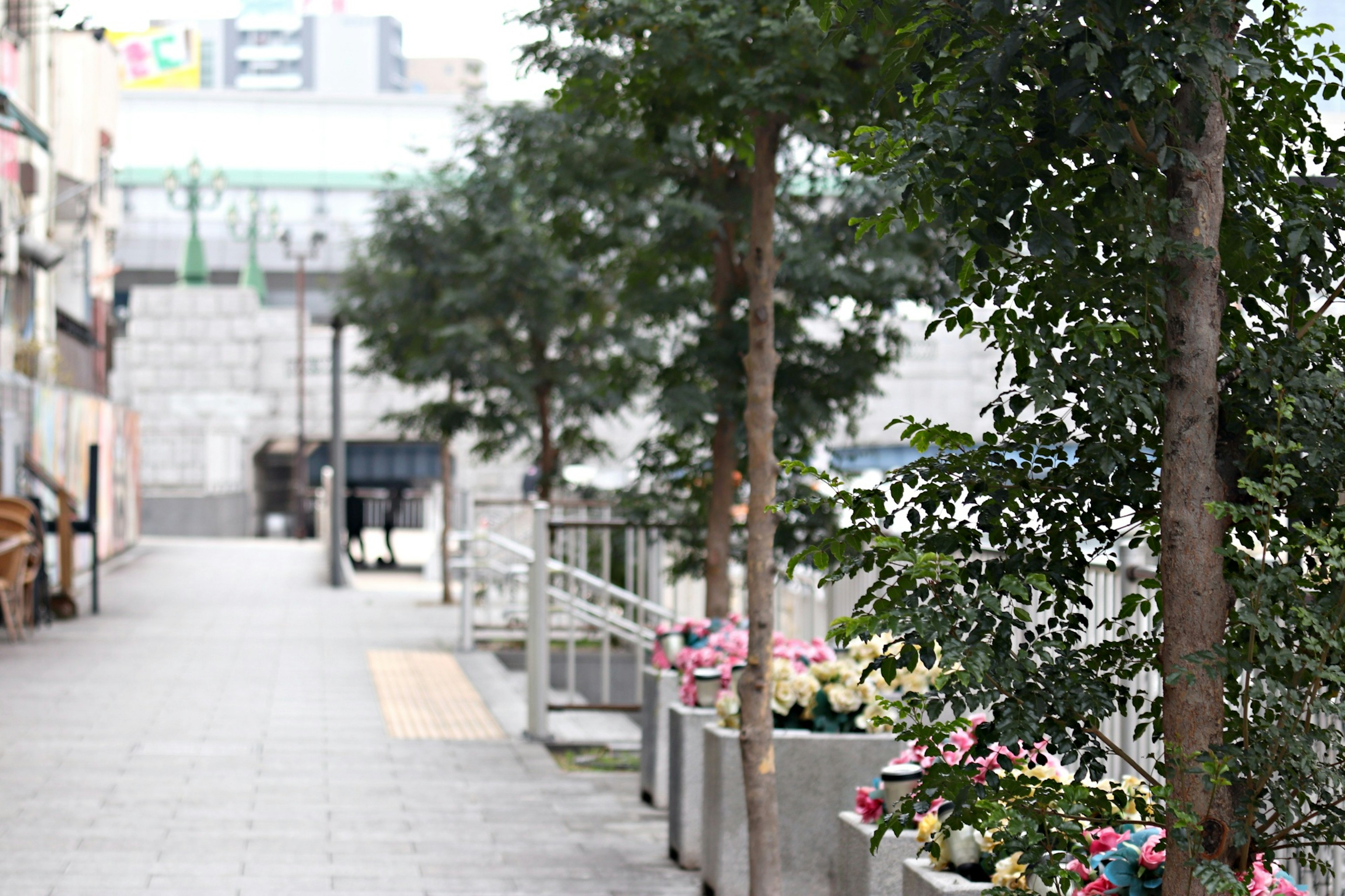 Sidewalk with flowering plants and green trees