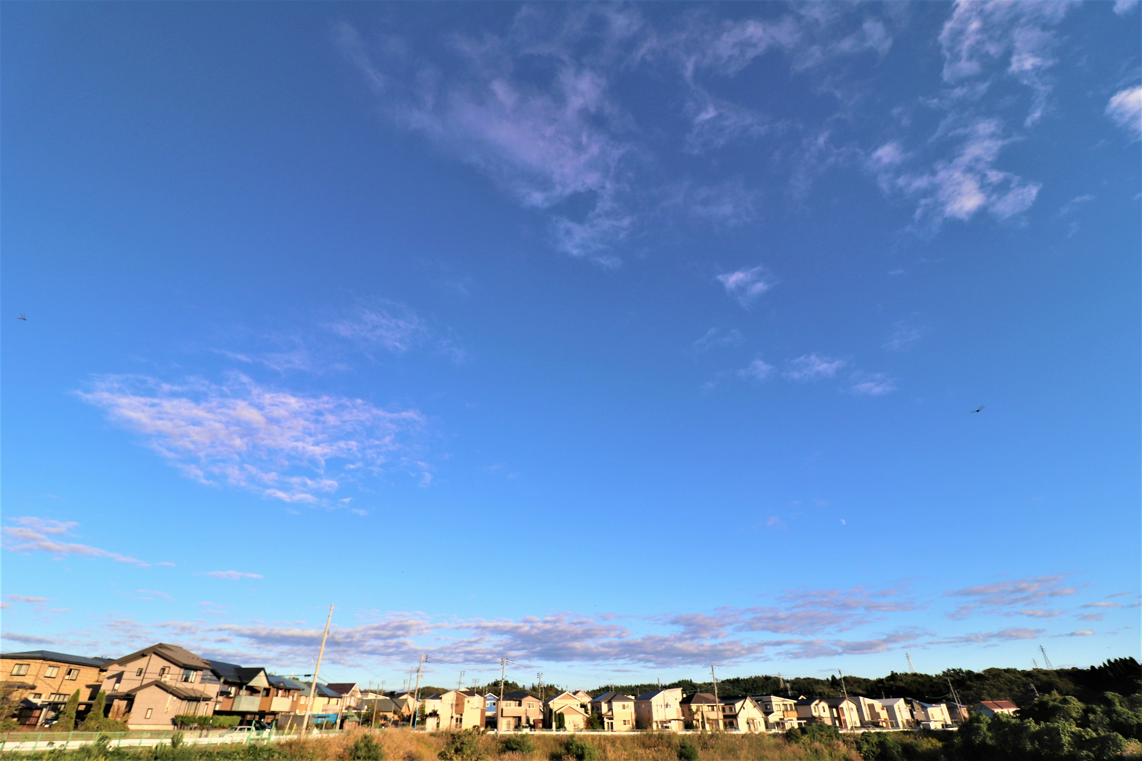 Edificios residenciales bajo un cielo azul claro con nubes dispersas