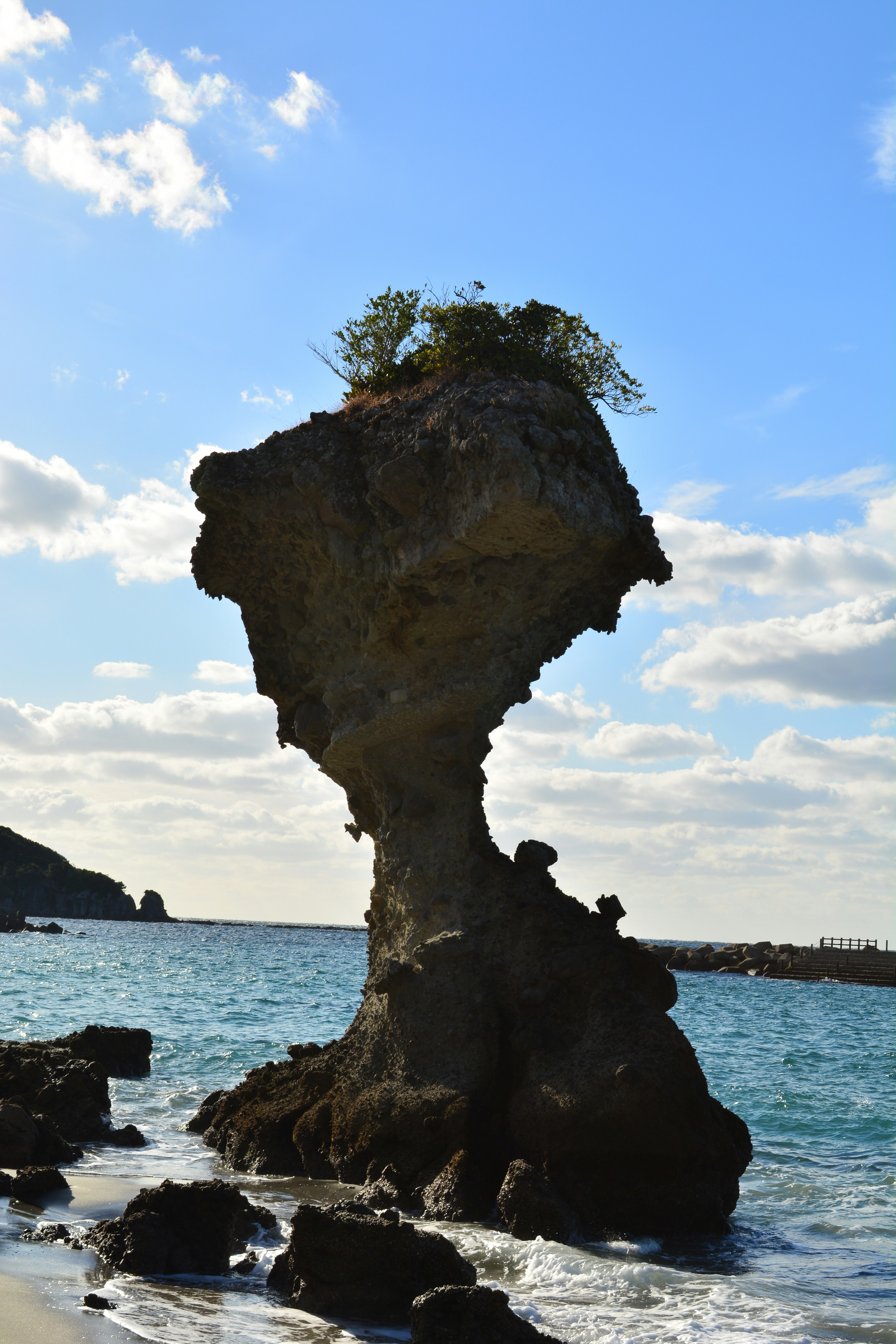 Einzigartige Felsformation an der Küste mit einem kleinen Baum darauf