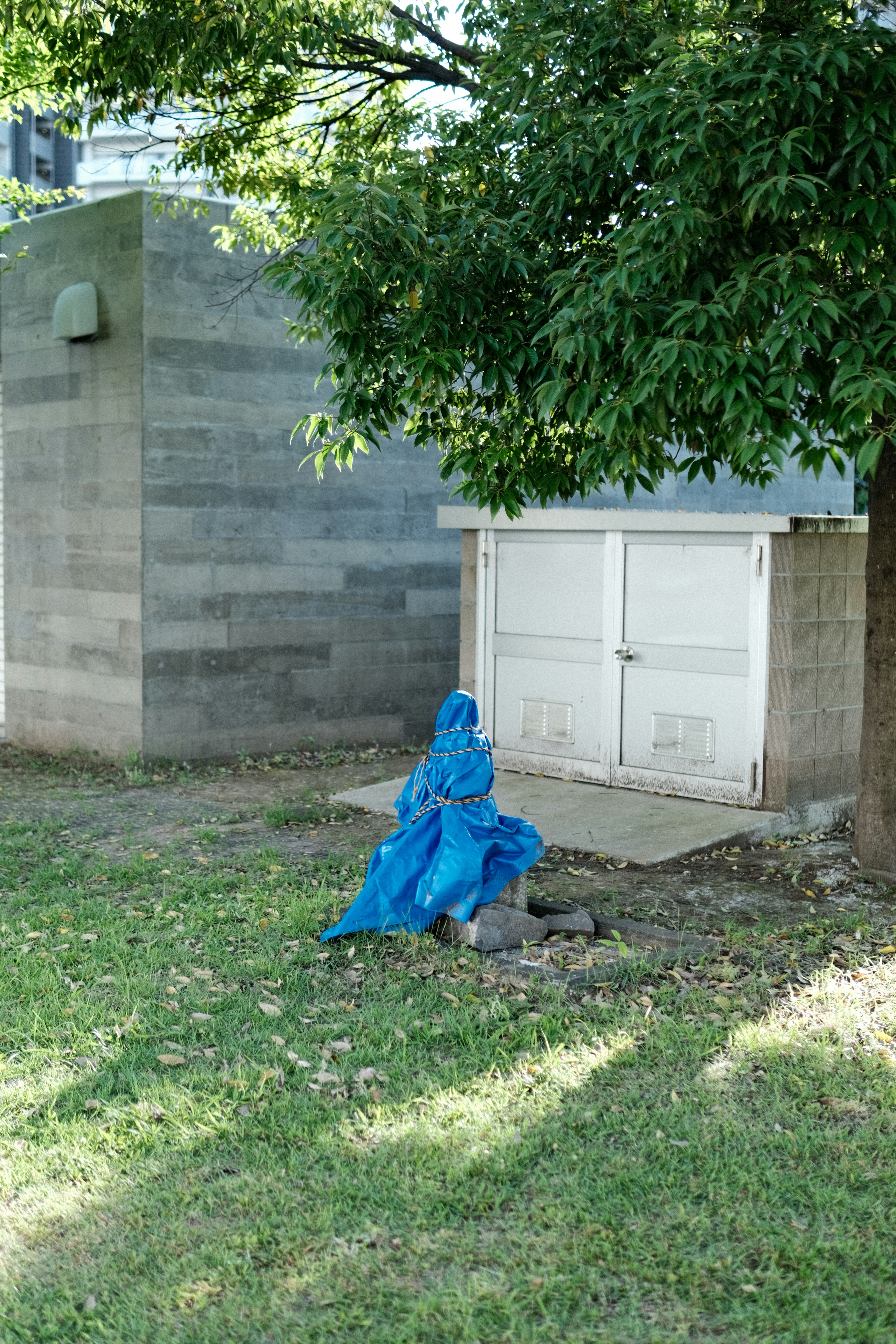 A blue draped object sits on grass near a gray wall