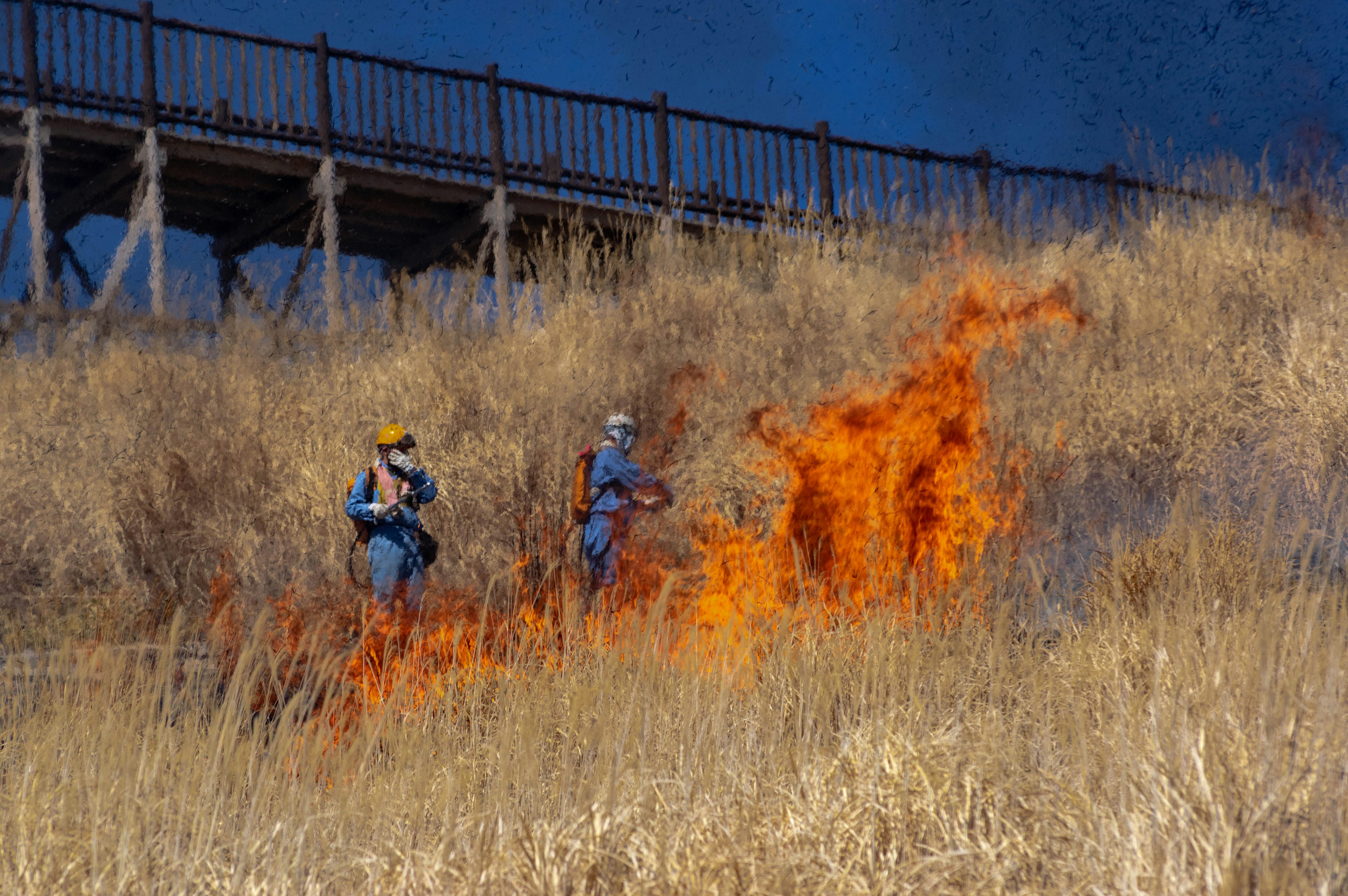 Vigili del fuoco che combattono le fiamme in un prato secco