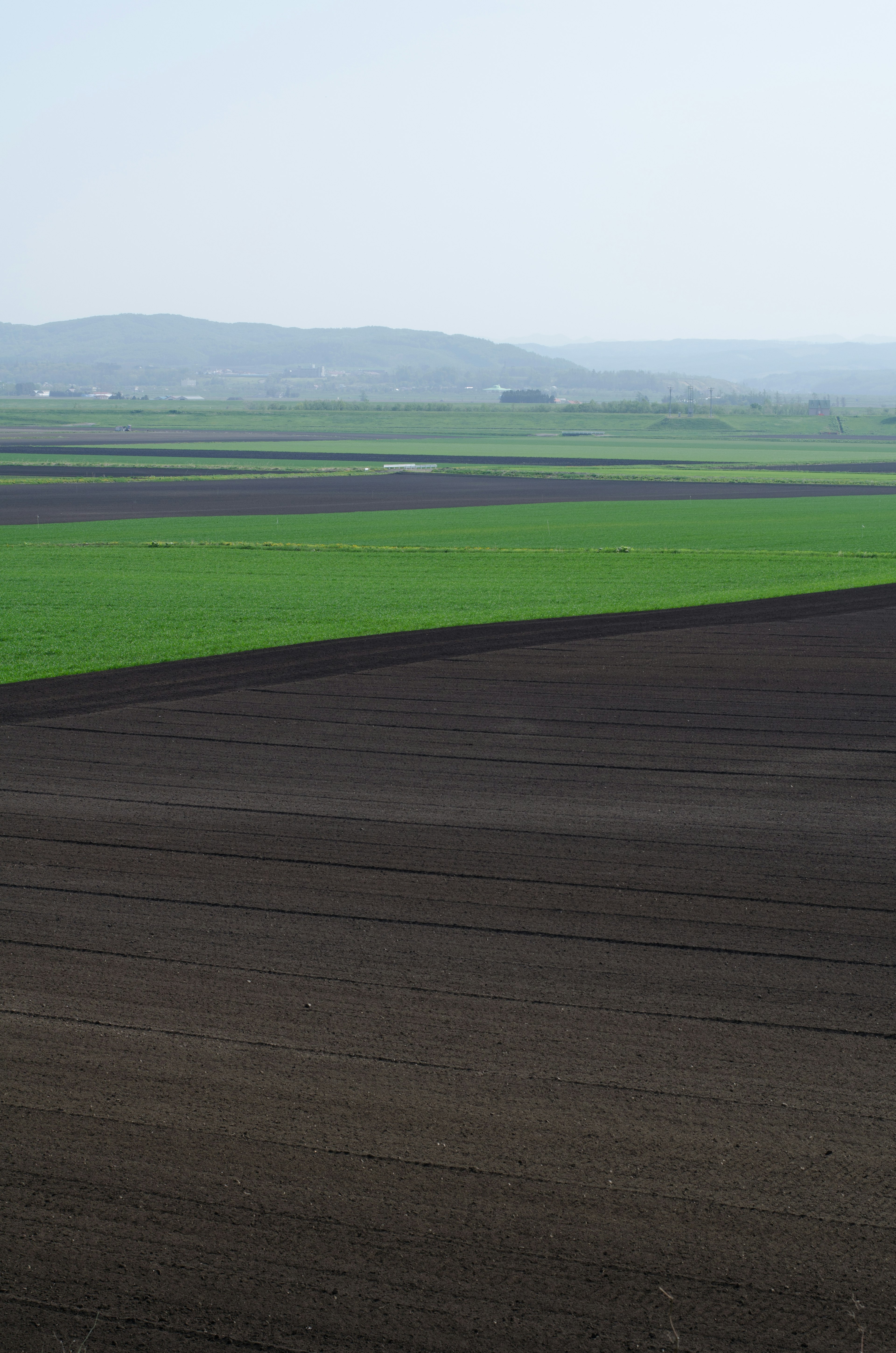 Schöne Landschaft mit grünen und schwarzen Feldern und fernen Hügeln im Nebel