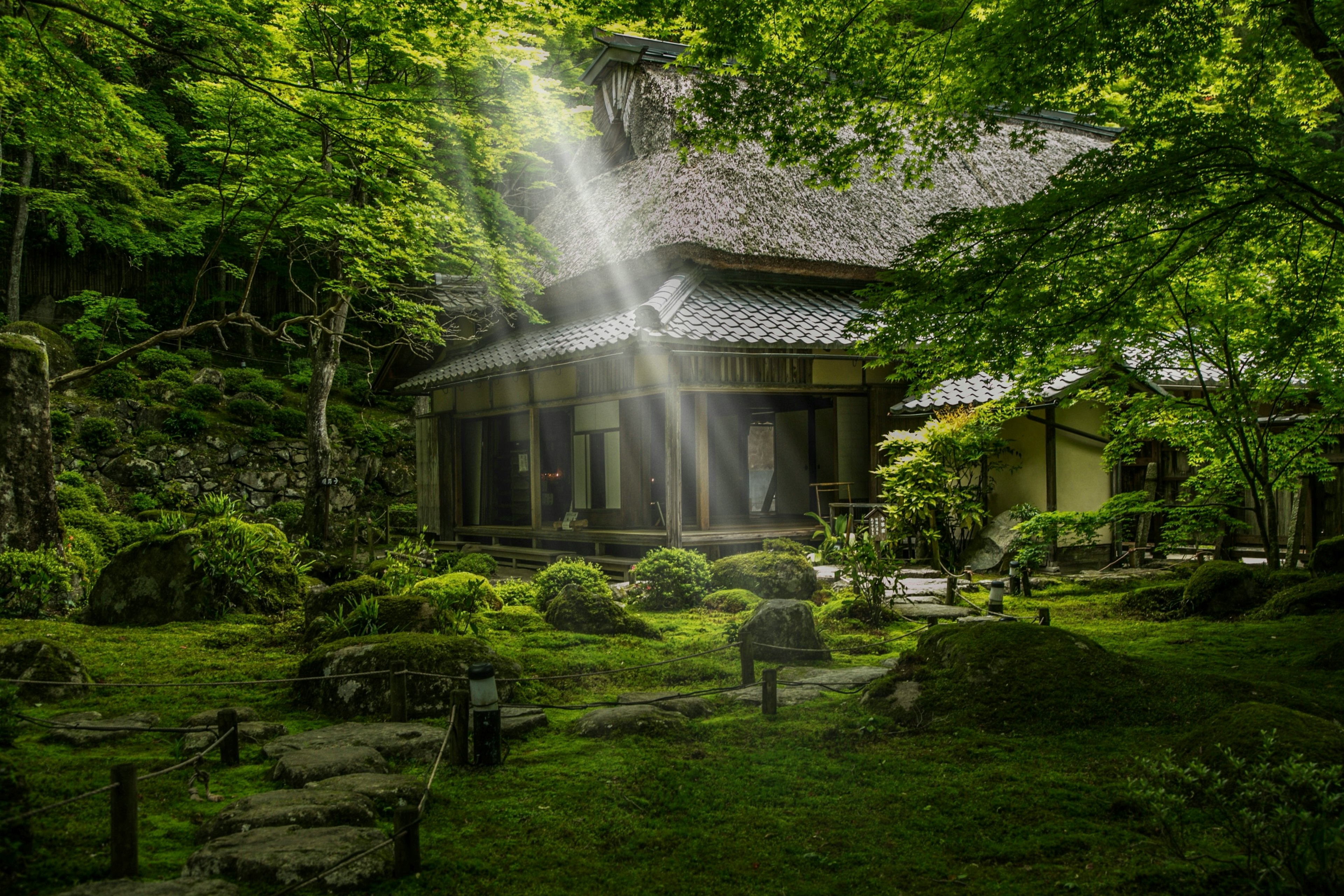 緑豊かな庭園に囲まれた伝統的な日本の家屋に光が差し込む風景