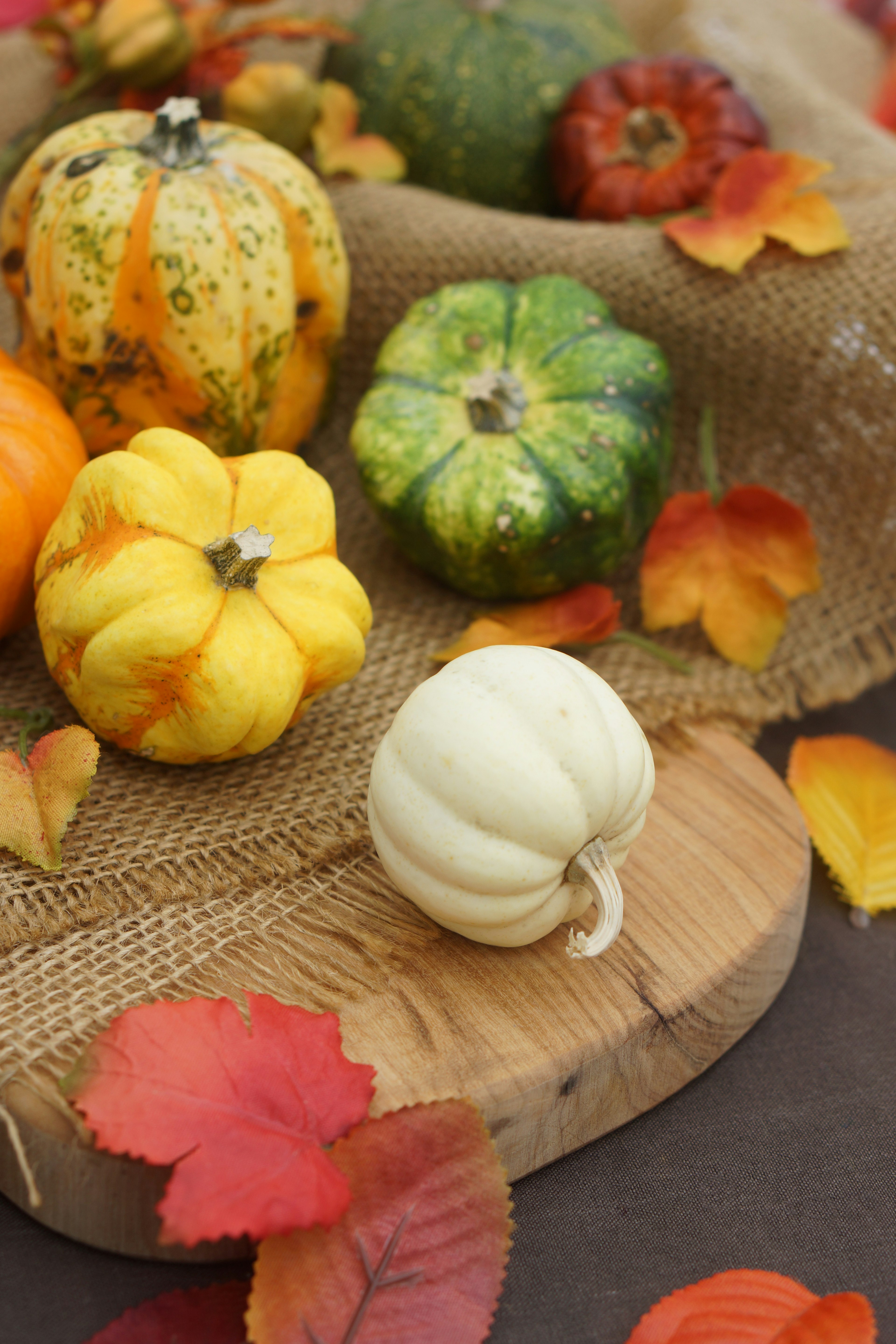 Calabazas coloridas y hojas de otoño esparcidas en una hermosa disposición